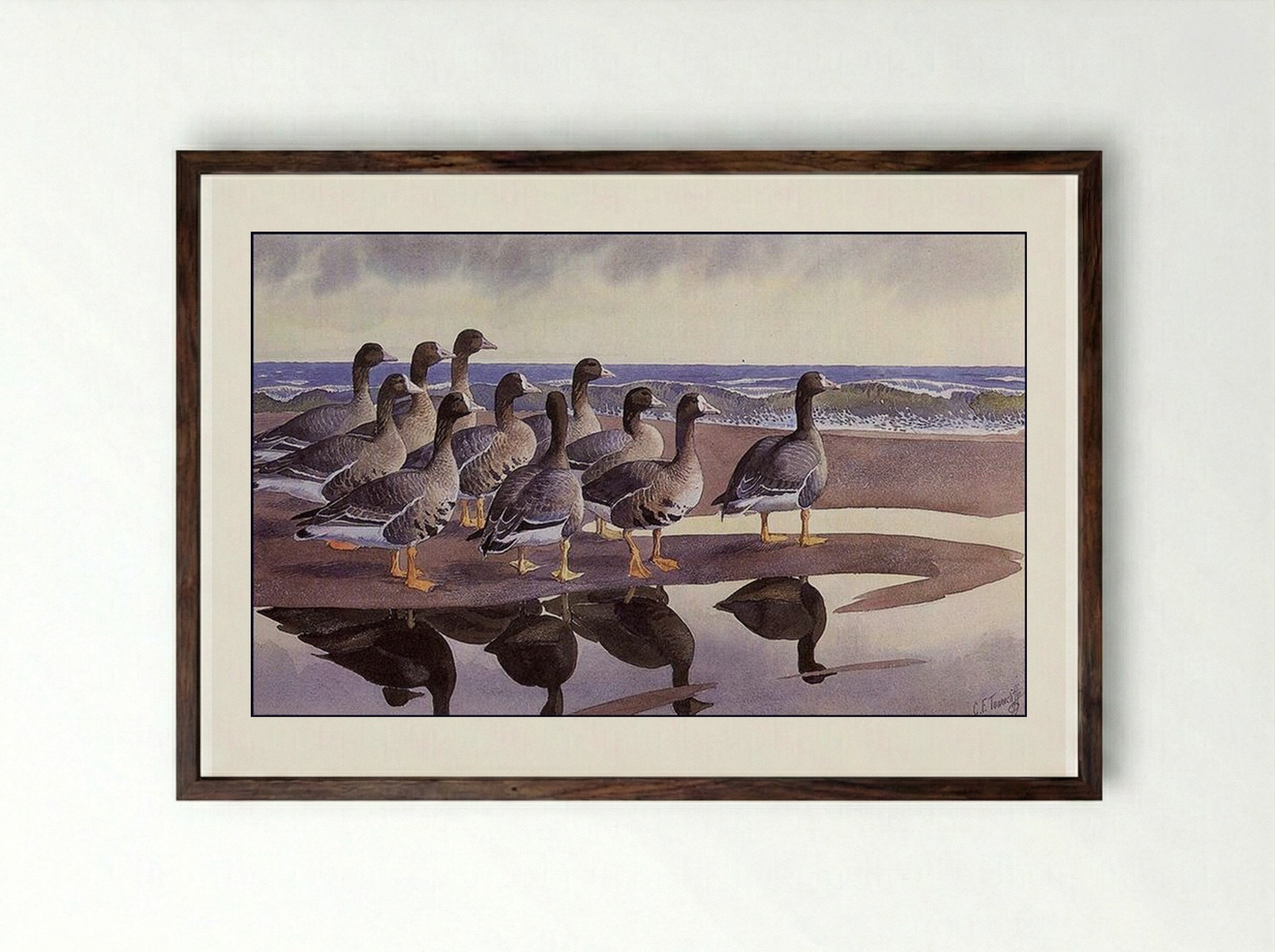 Gaggle at the Bar - Charles Tunnicliffe - Framed Print Dark Wood