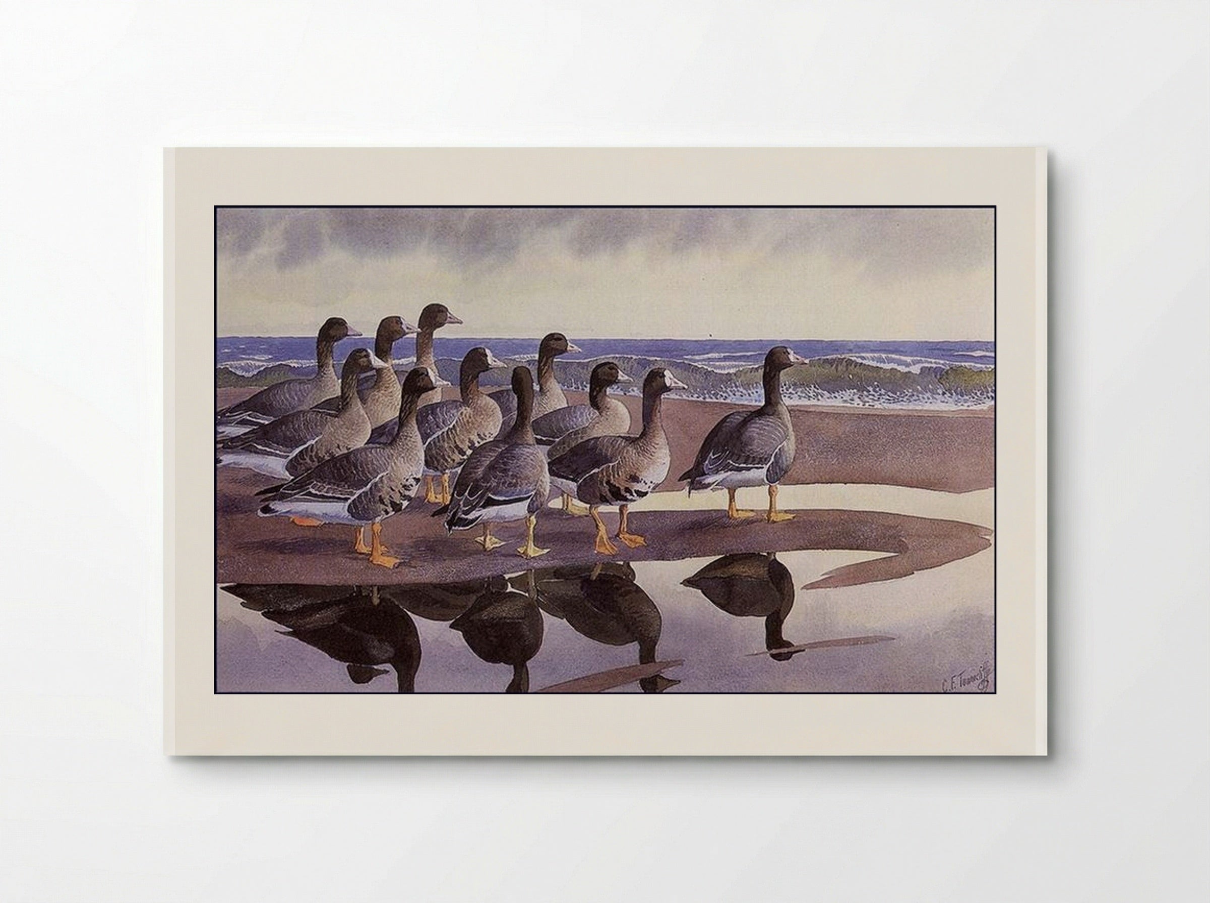 Gaggle at the Bar - Charles Tunnicliffe - Poster