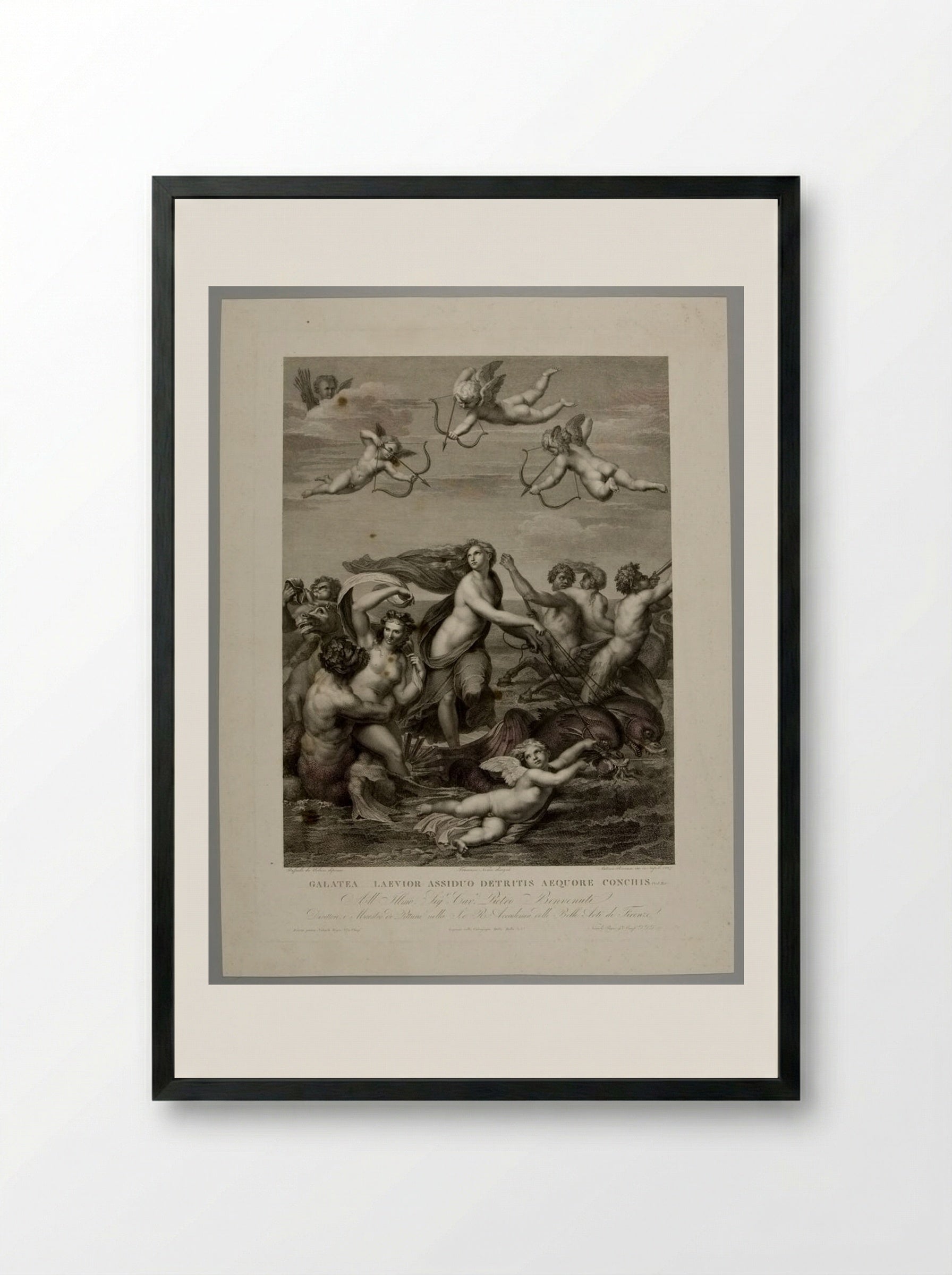 Galatea (After Raphael) - Antonio Ricciani - Framed Print Black