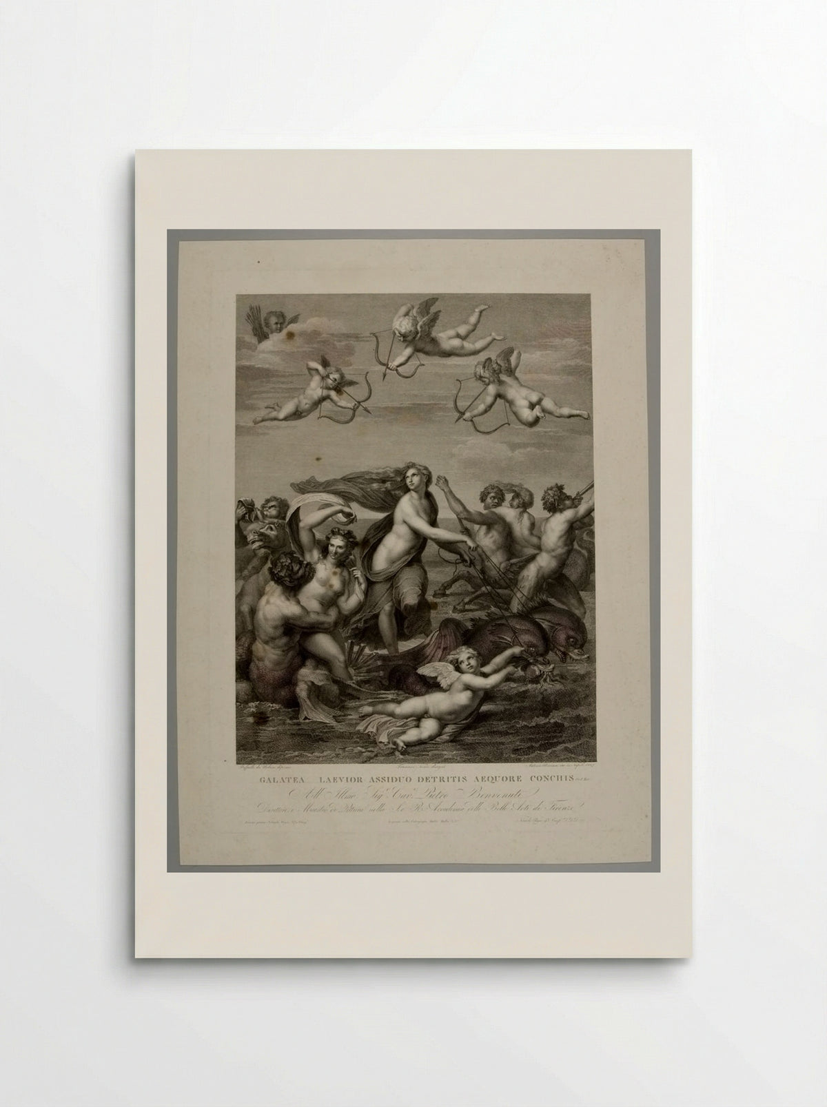 Galatea (After Raphael) - Antonio Ricciani - Poster