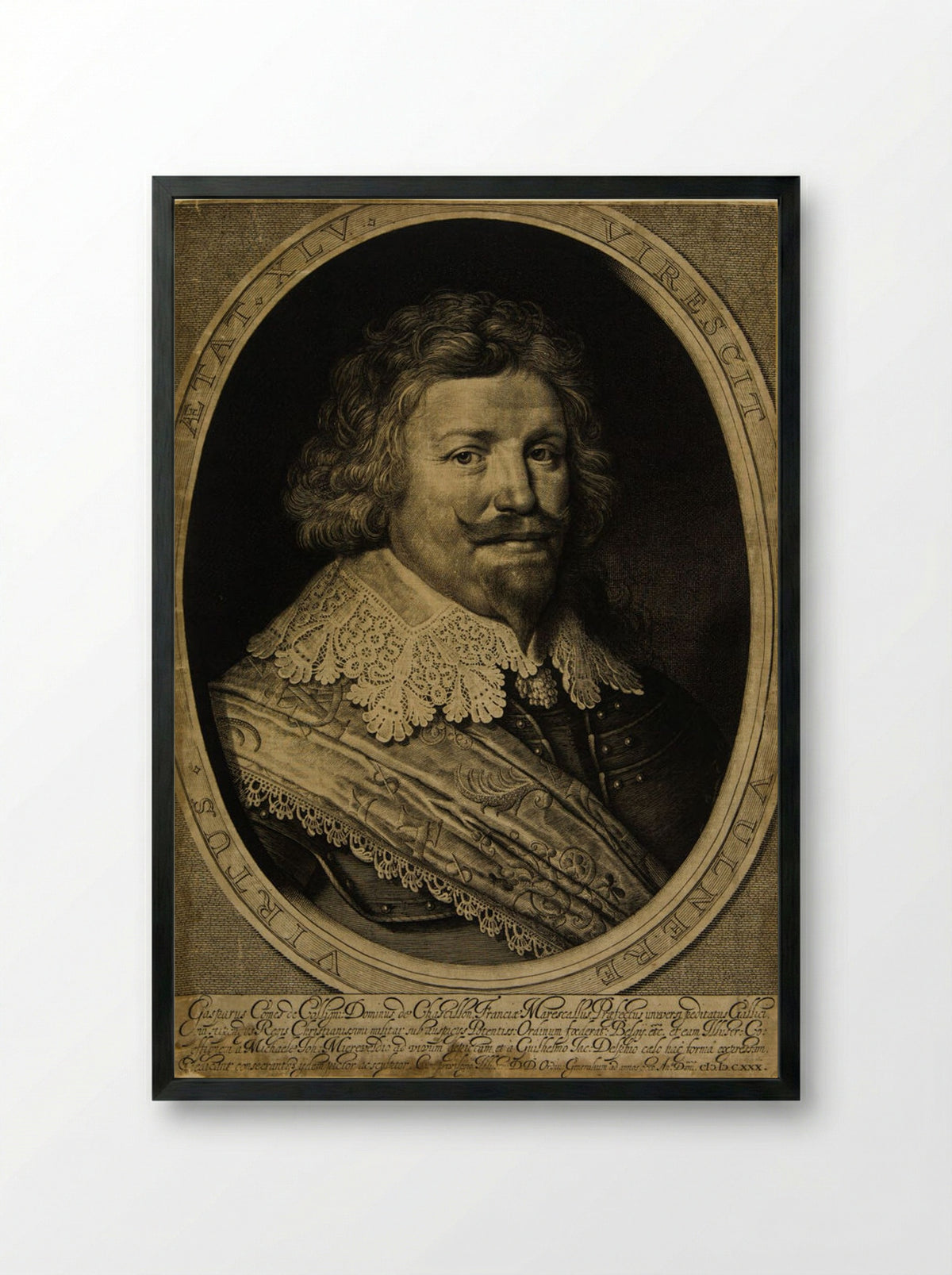 Gaspard de Coligny, Marechal of France - Willem Jacobszoon Delff - Framed Print Black