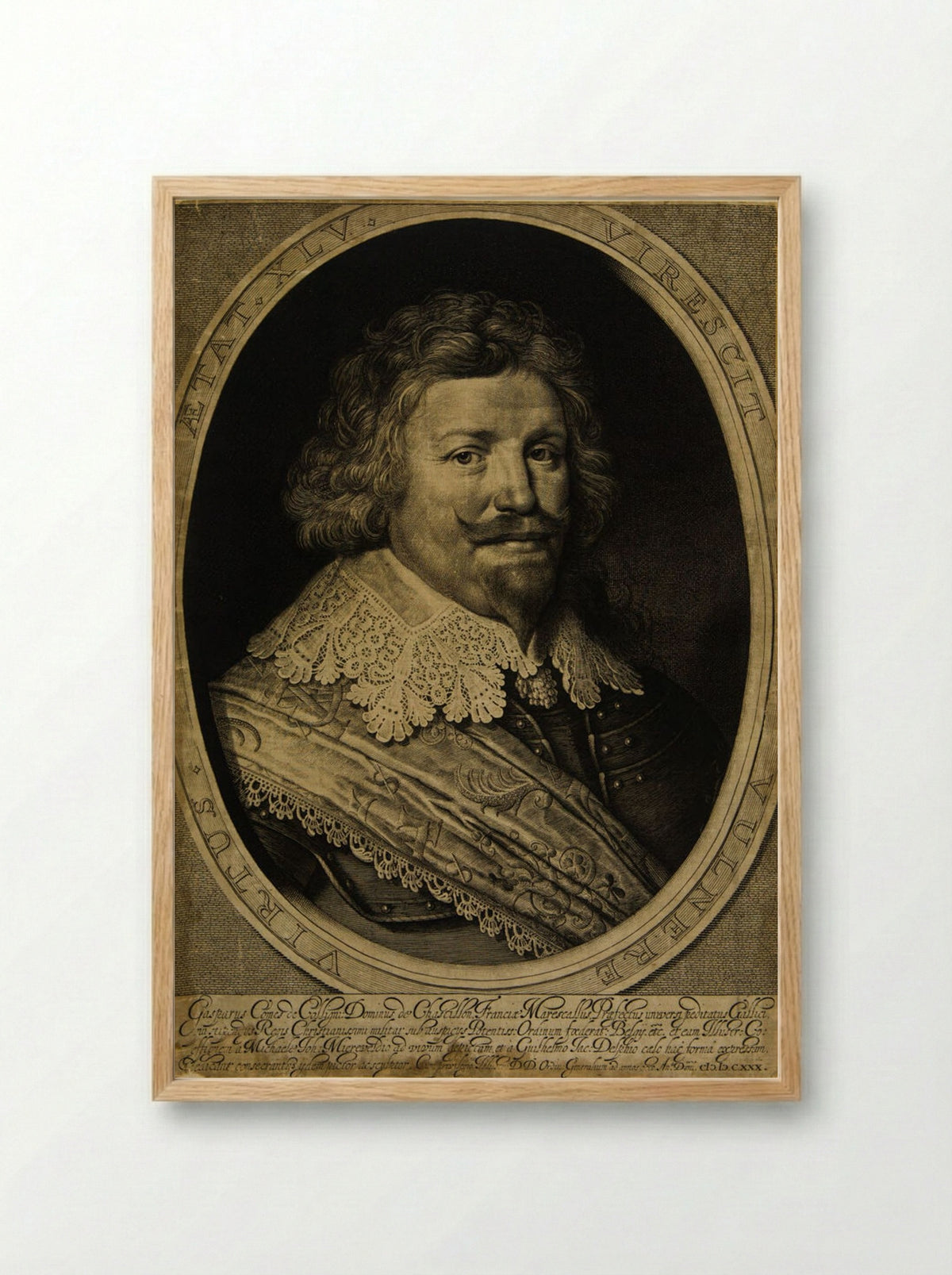 Gaspard de Coligny, Marechal of France - Willem Jacobszoon Delff - Framed Print Wood