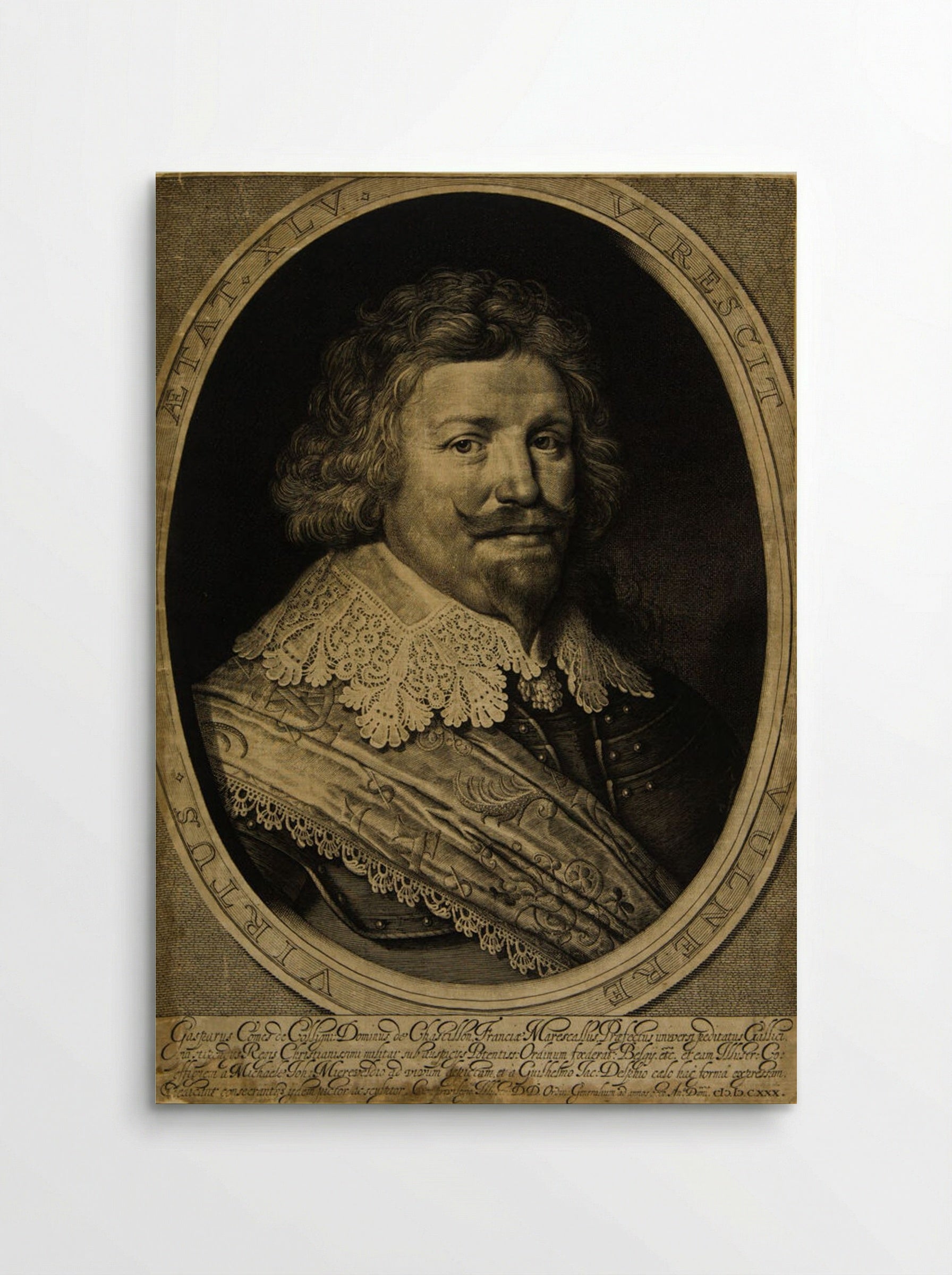 Gaspard de Coligny, Marechal of France - Willem Jacobszoon Delff - Poster