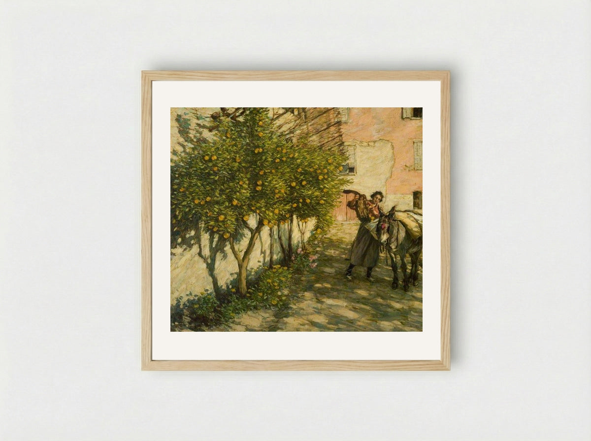 Gathering Oranges - Henry Herbert La Thangue - Framed Print Wood