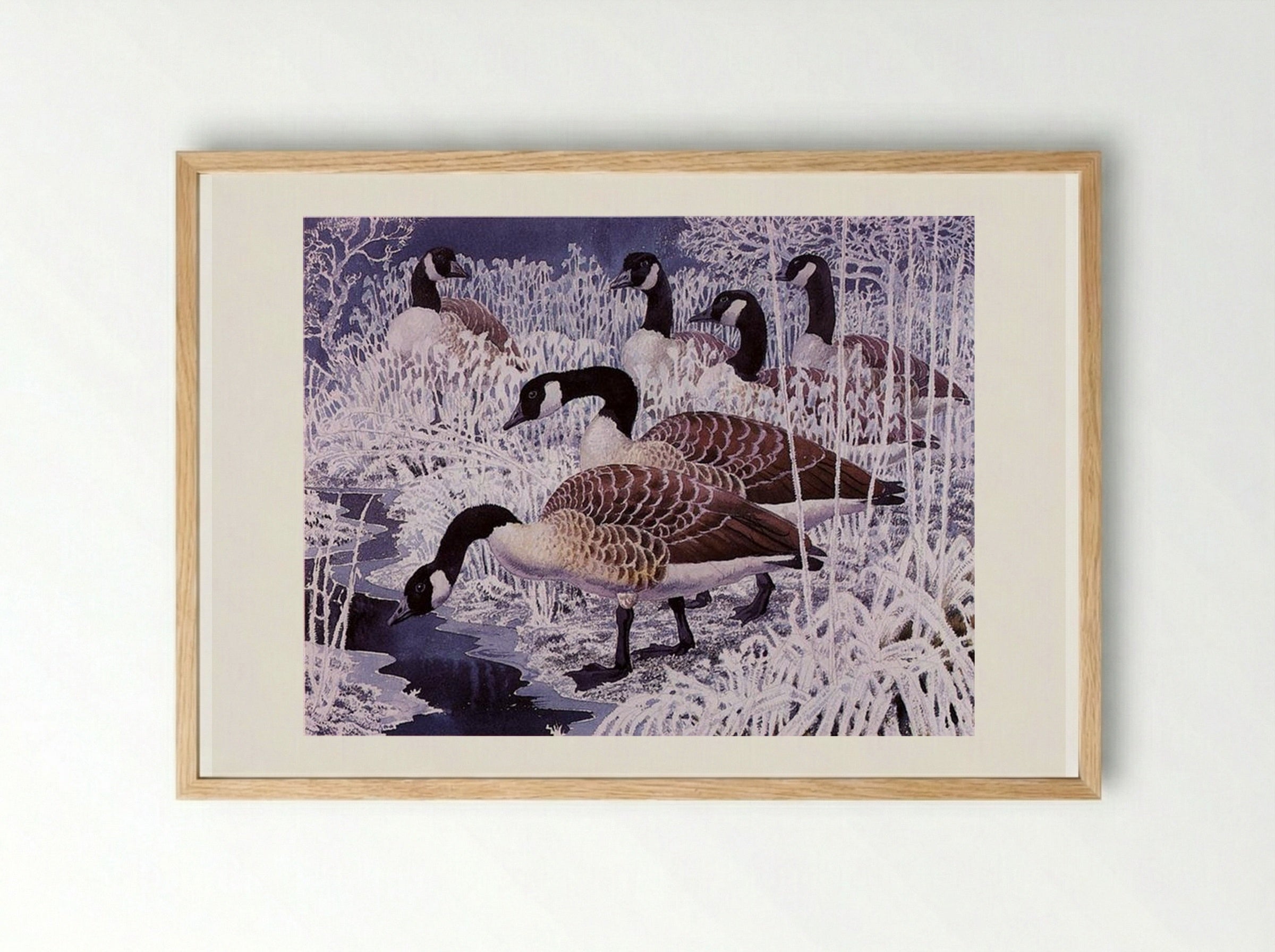 Geese and hoar-frost - Charles Tunnicliffe - Framed Print Wood
