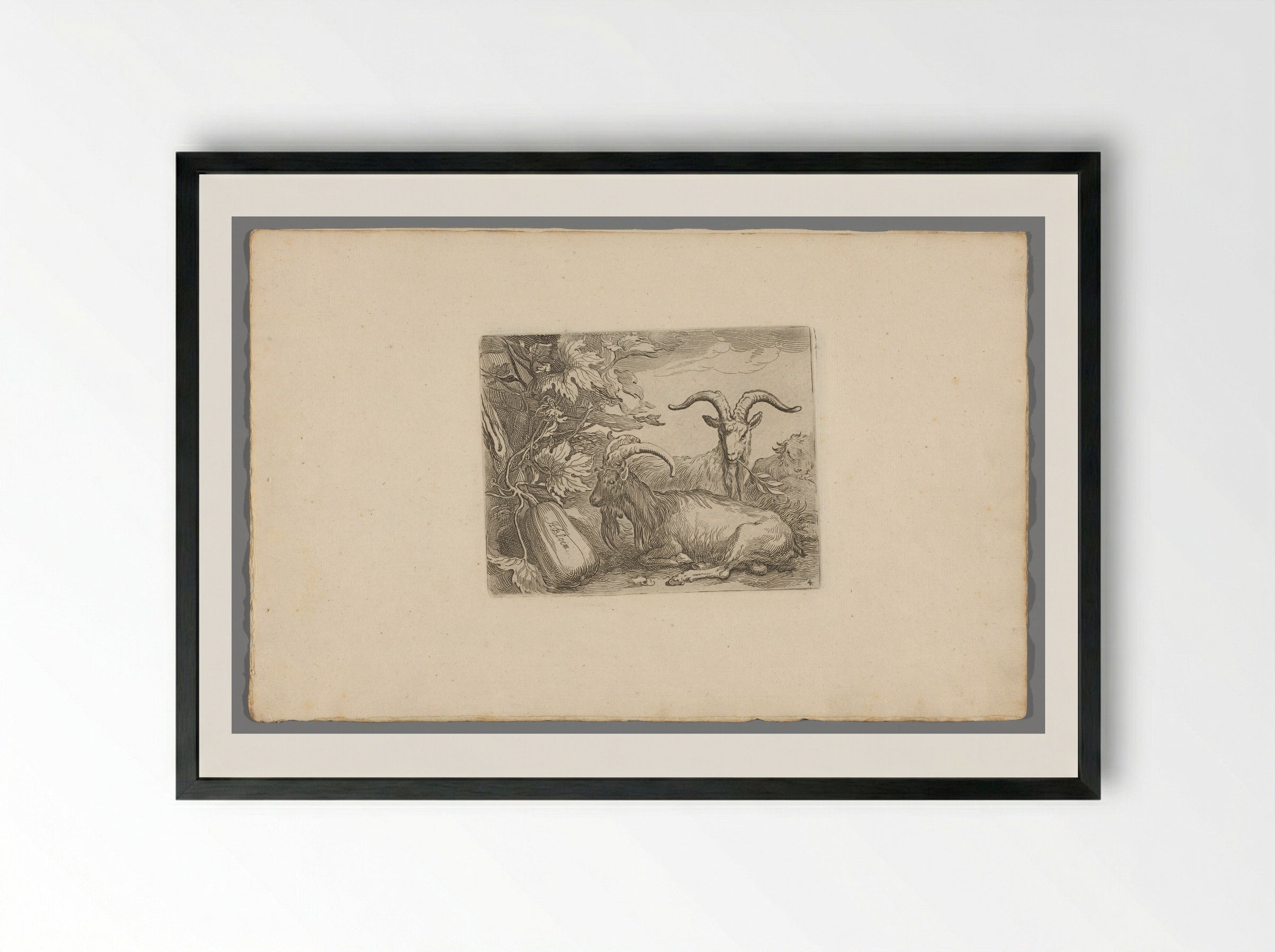 Geiten en kalebas (Goats and Gourd) - Boëtius Adamsz. Bolswert - Framed Print Black