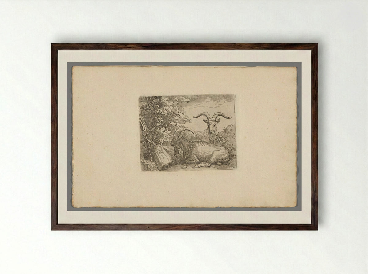 Geiten en kalebas (Goats and Gourd) - Boëtius Adamsz. Bolswert - Framed Print Dark Wood