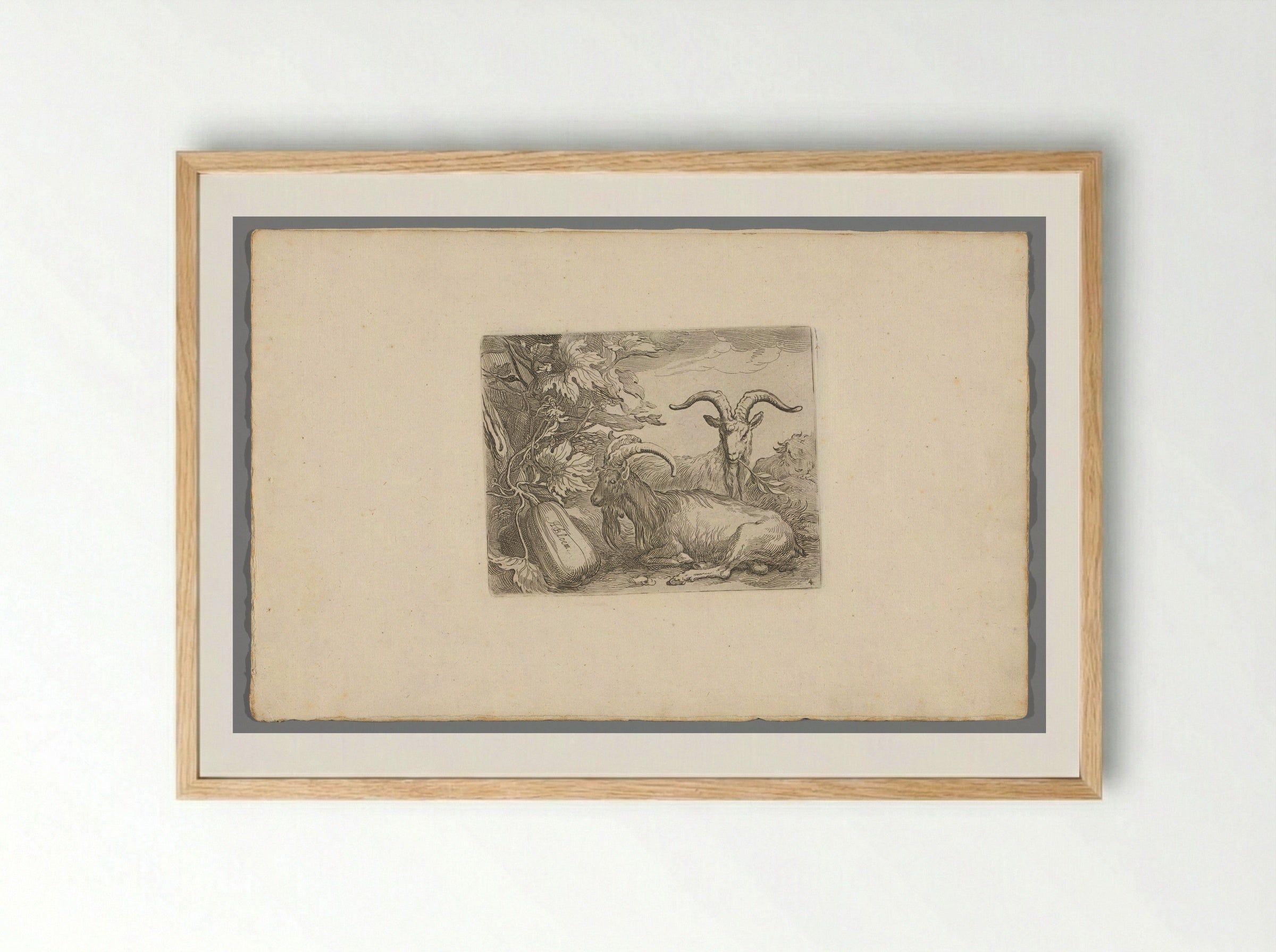Geiten en kalebas (Goats and Gourd) - Boëtius Adamsz. Bolswert - Framed Print Wood