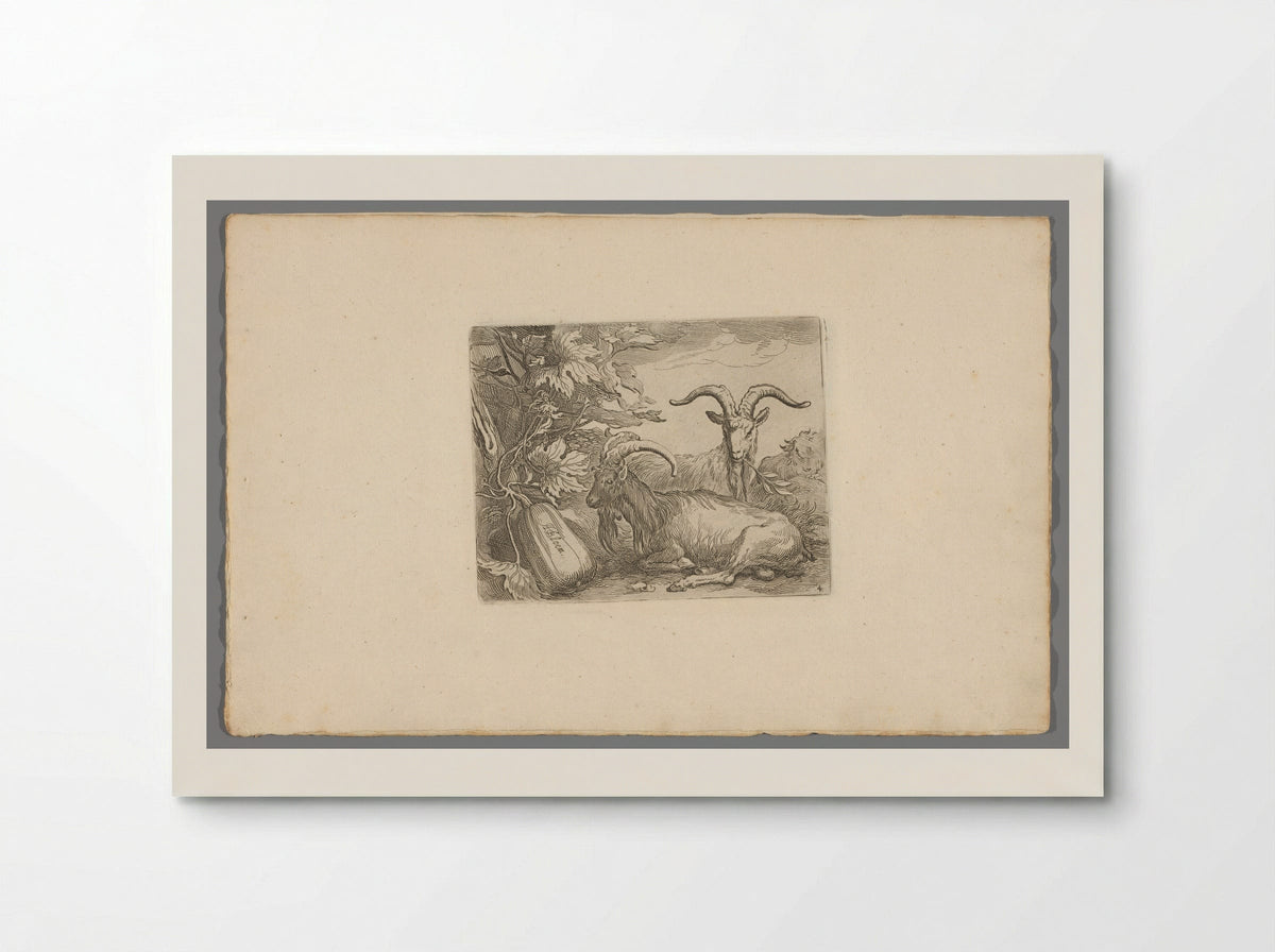 Geiten en kalebas (Goats and Gourd) - Boëtius Adamsz. Bolswert - Poster