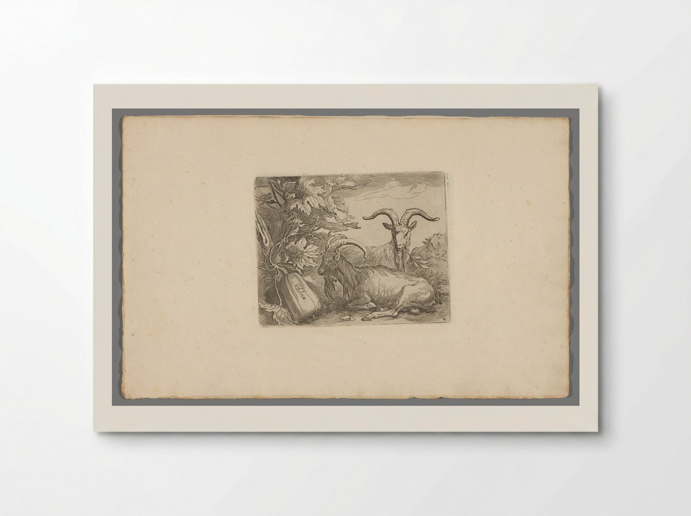 Geiten en kalebas (Goats and Gourd) - Boëtius Adamsz. Bolswert - Poster