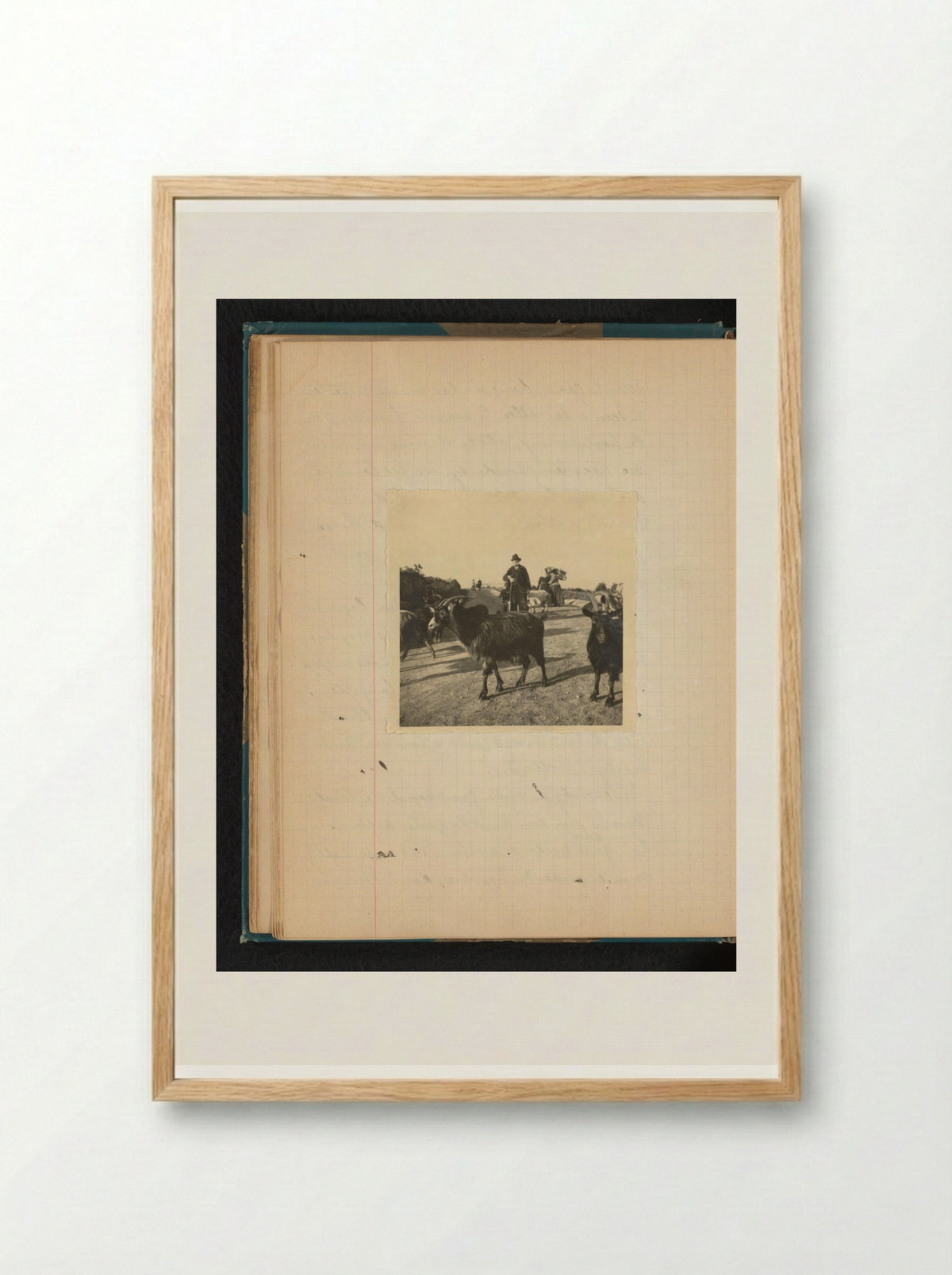 Geiten met daarachter een herder in pak - Théodore van Lelyveld - Framed Print Wood