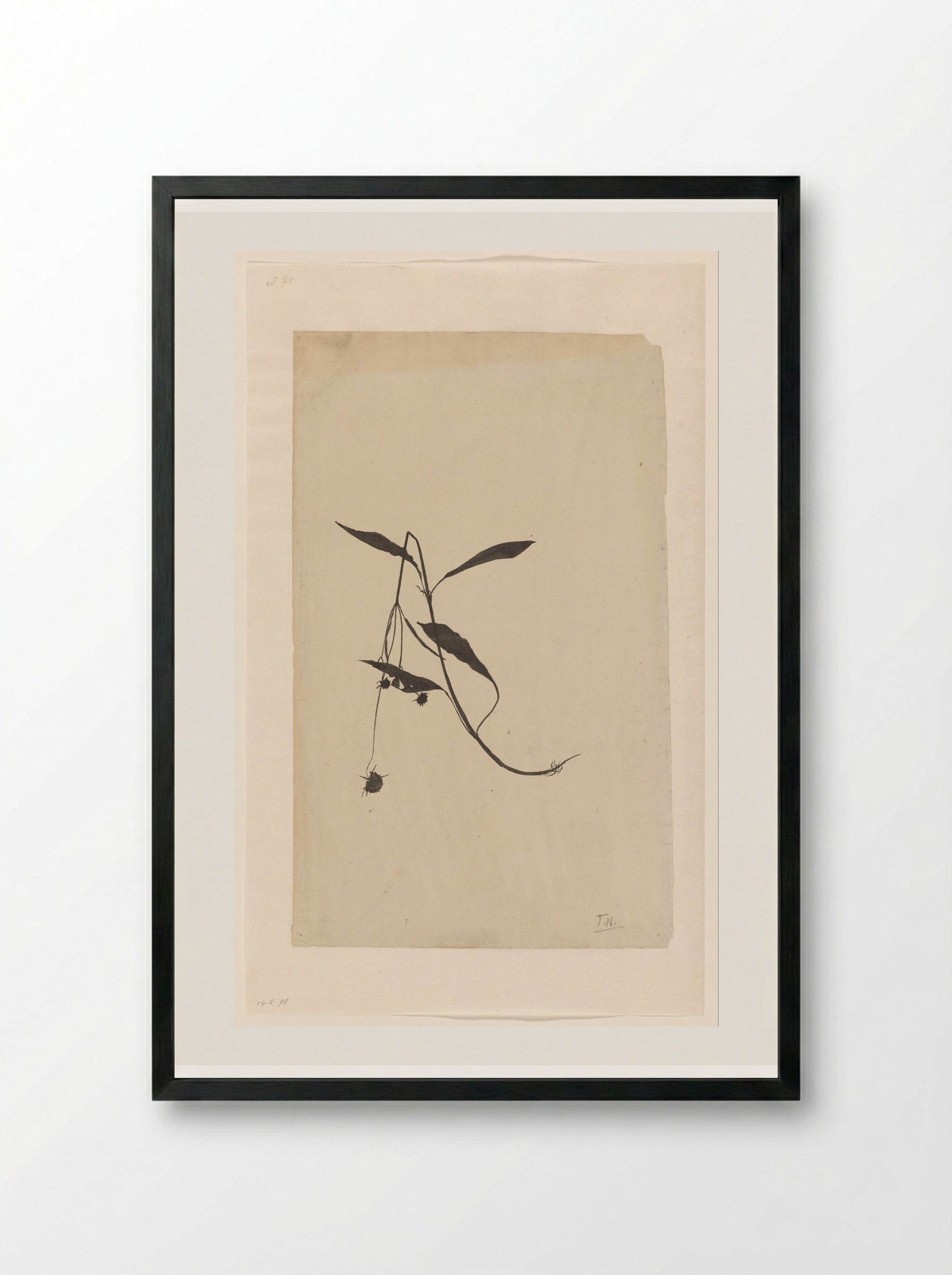 Geknakte stengel van een plant - Theo Nieuwenhuis - Framed Print Black