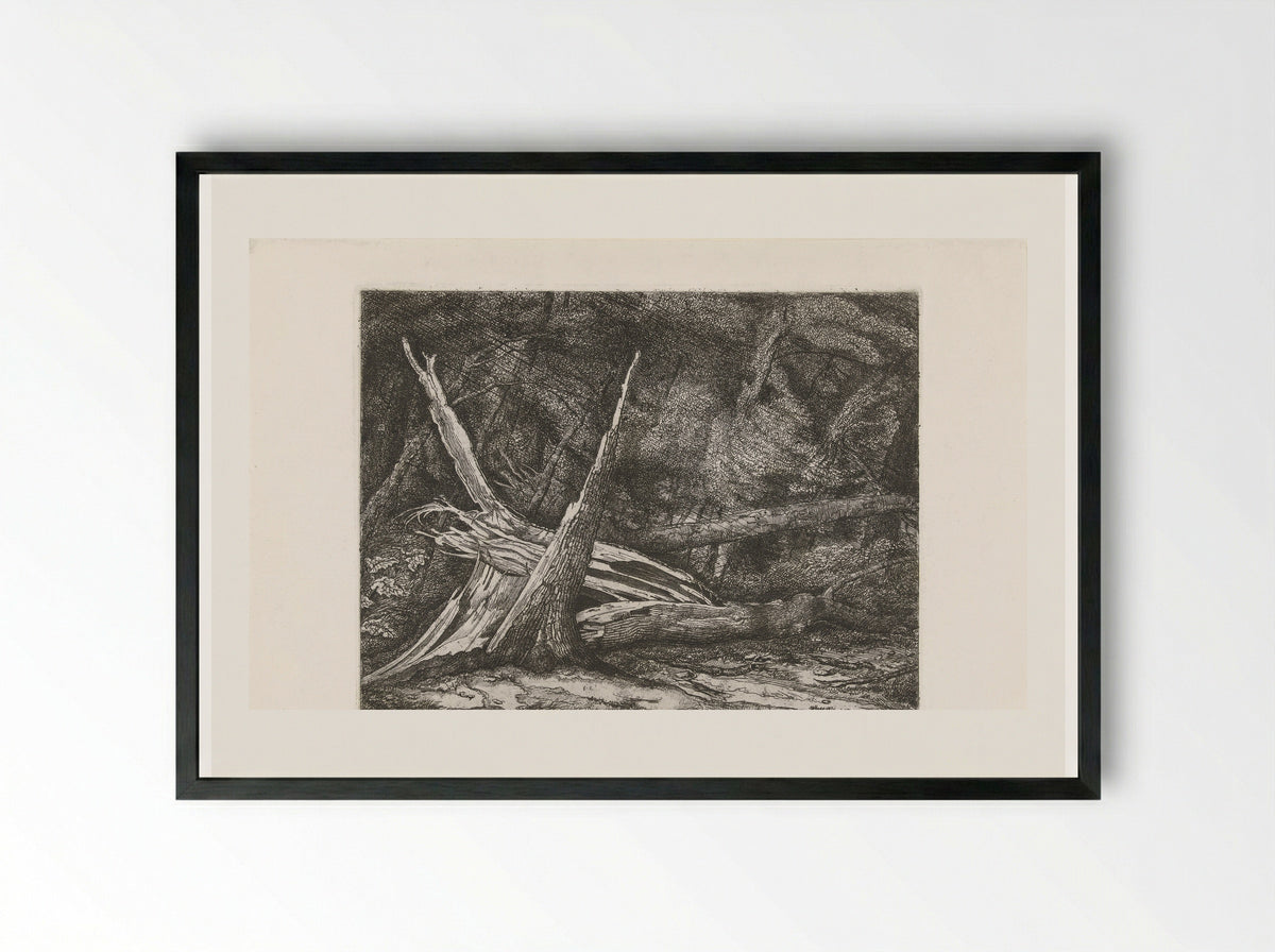 Gevelde bomen na een storm - Jacobus Ludovicus Cornet - Framed Print Black
