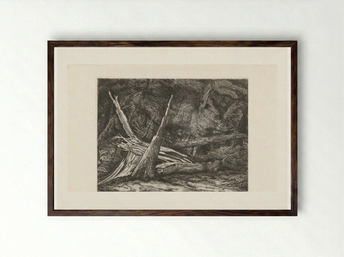 Gevelde bomen na een storm - Jacobus Ludovicus Cornet - Framed Print Dark Wood