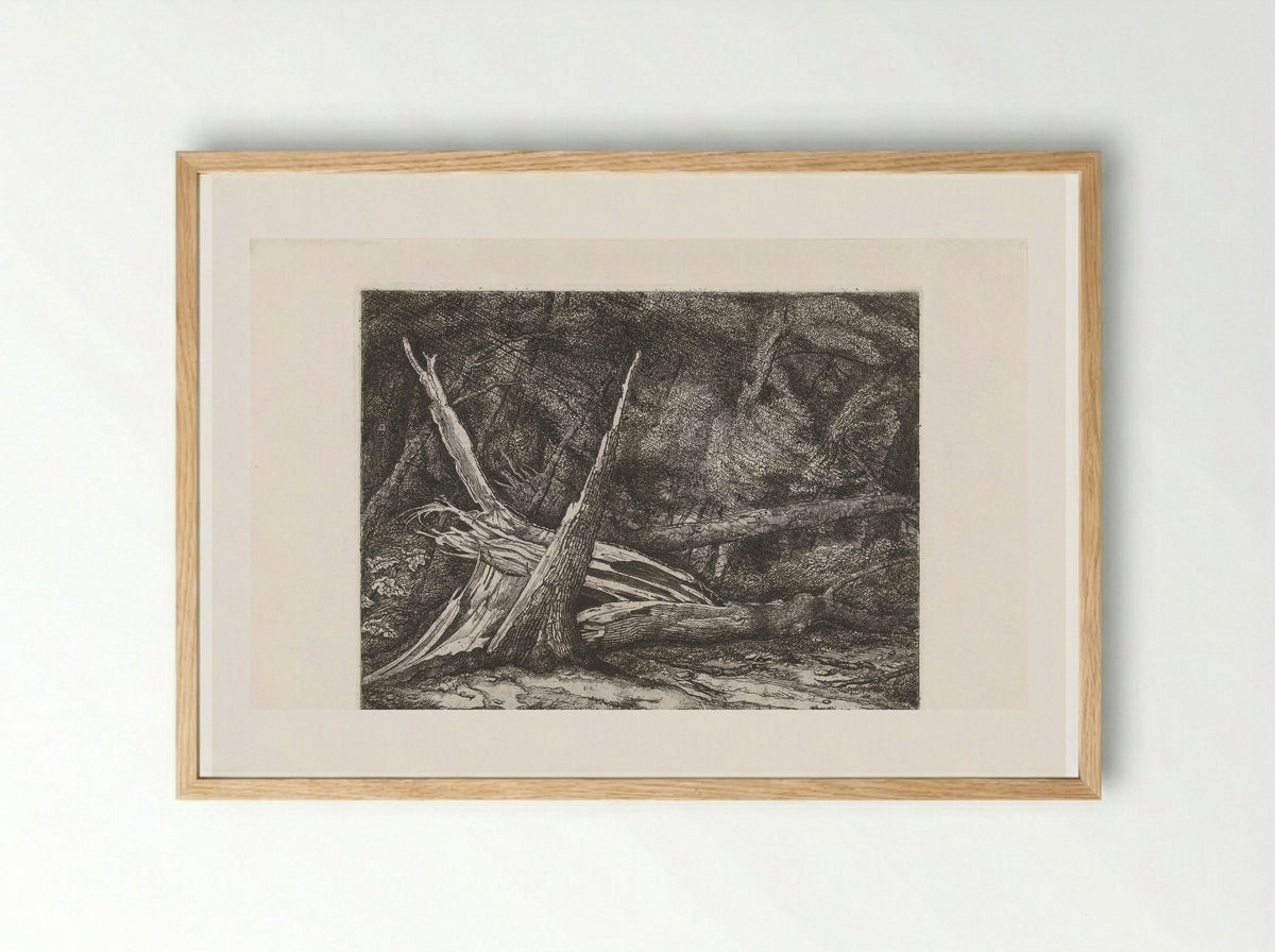 Gevelde bomen na een storm - Jacobus Ludovicus Cornet - Framed Print Wood
