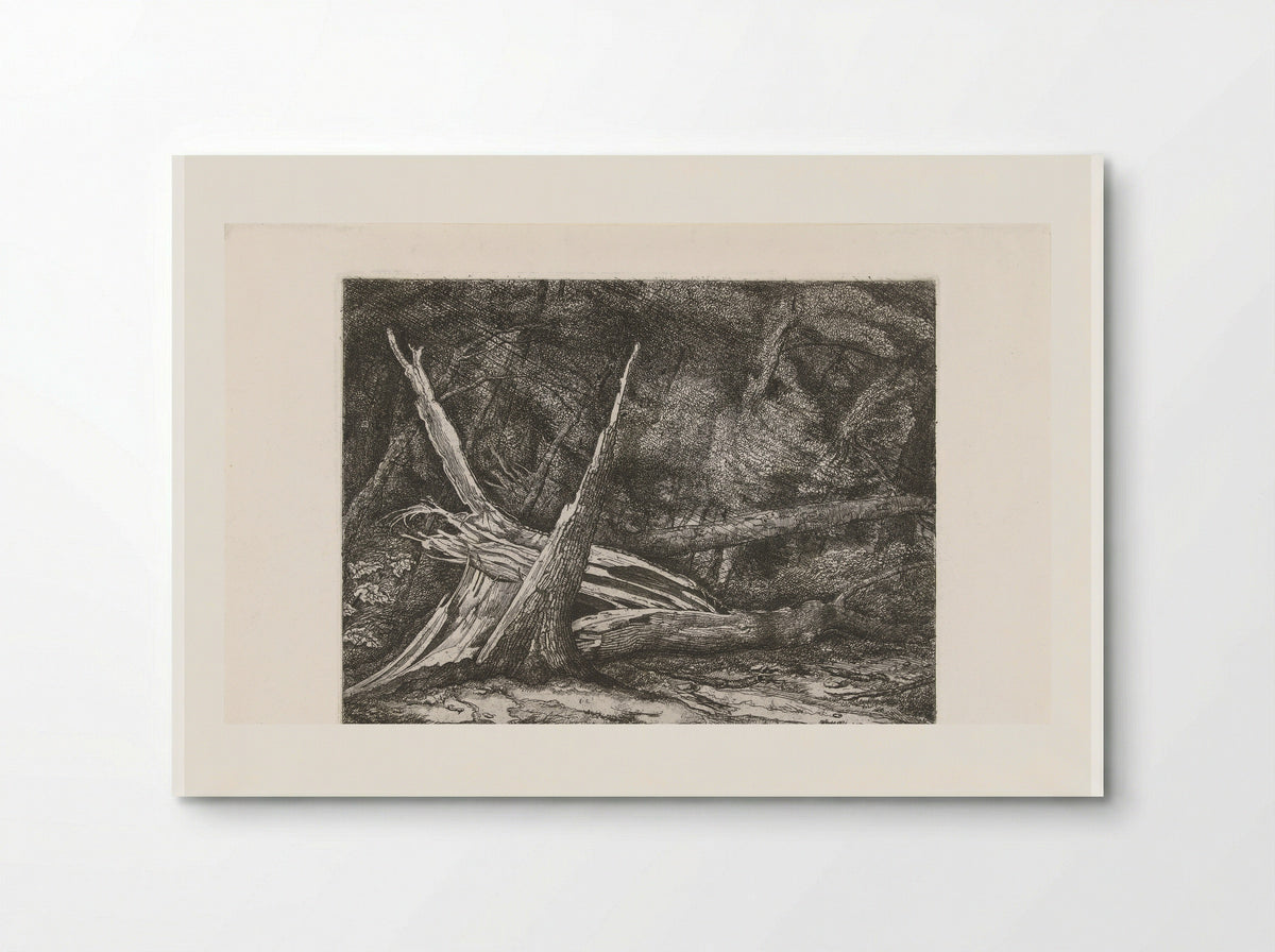 Gevelde bomen na een storm - Jacobus Ludovicus Cornet - Poster