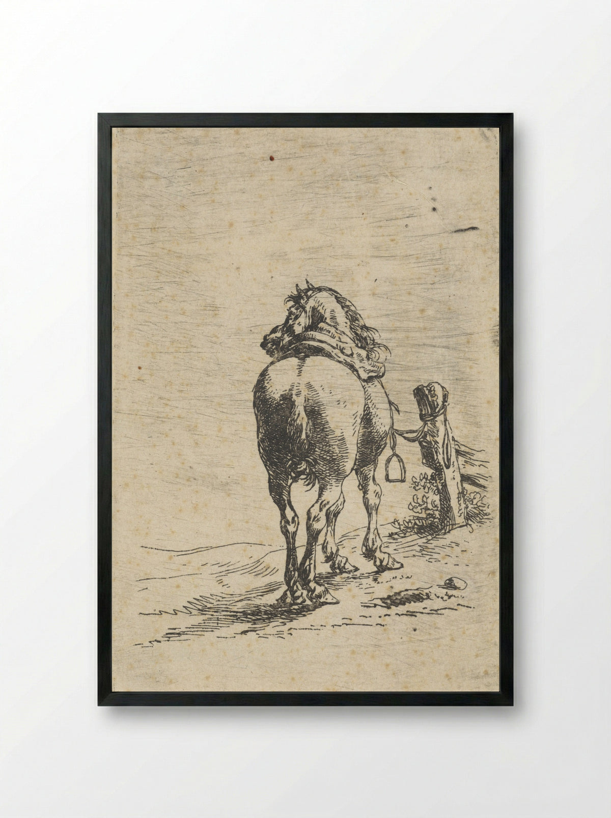 Gezadeld paard aan een paal - Pieter Cornelisz. Verbeeck - Framed Print Black