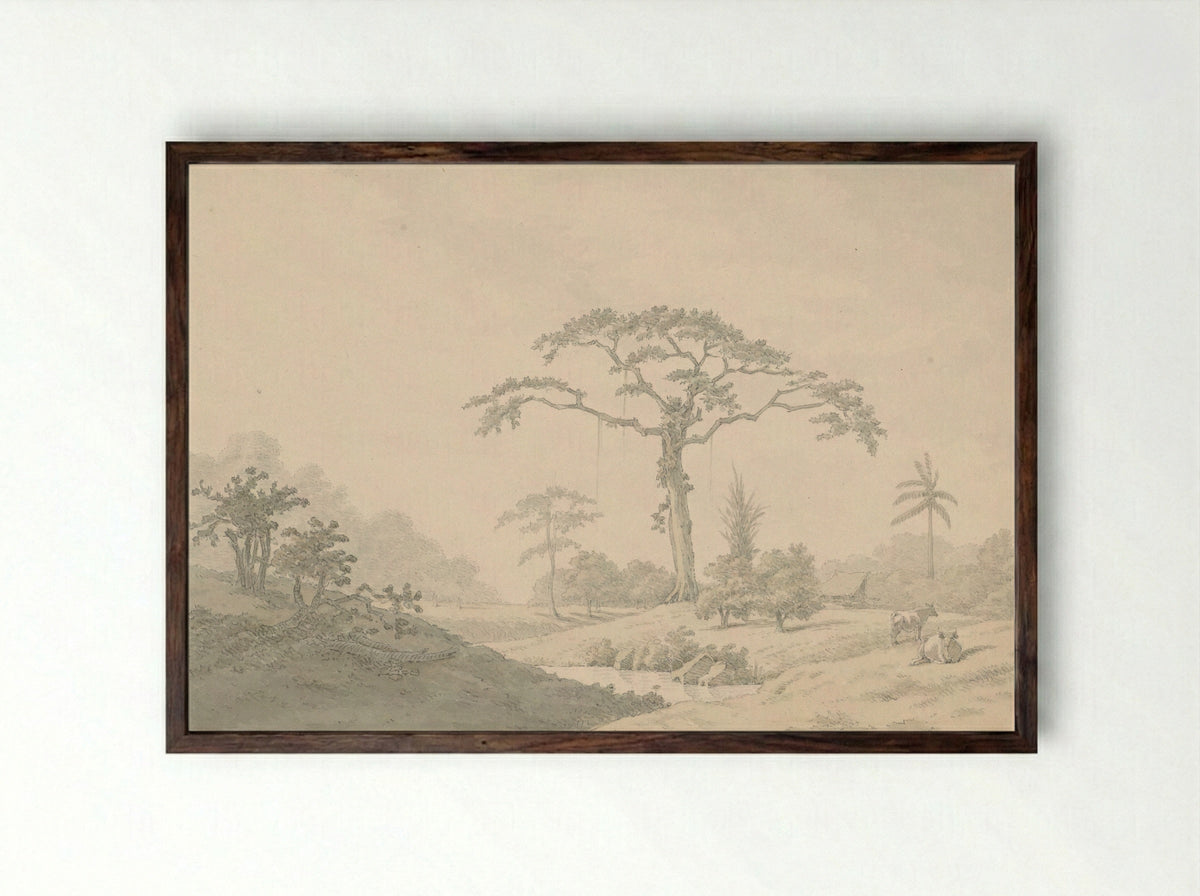 Gezicht bij een hoeve in Suriname - Nicolaas Box - Framed Print Dark Wood