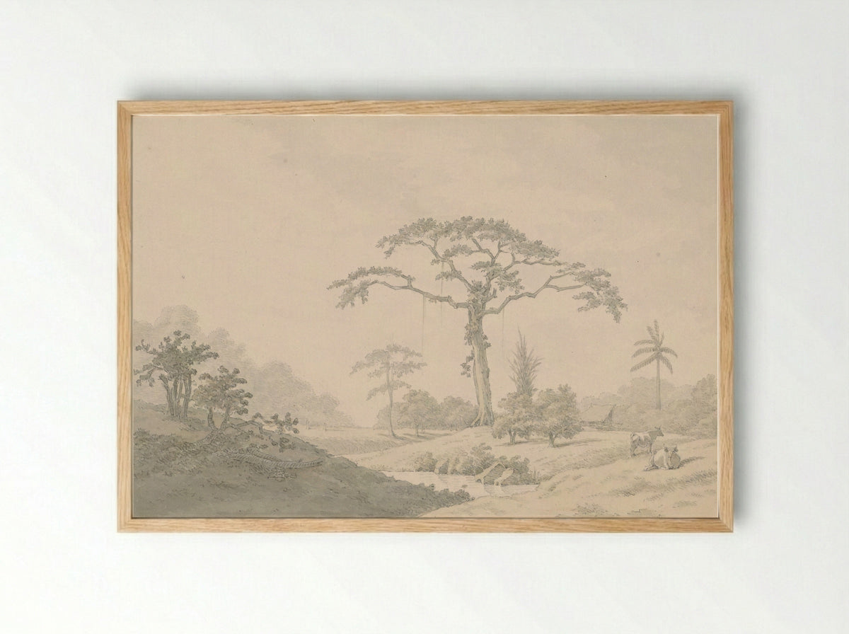 Gezicht bij een hoeve in Suriname - Nicolaas Box - Framed Print Wood
