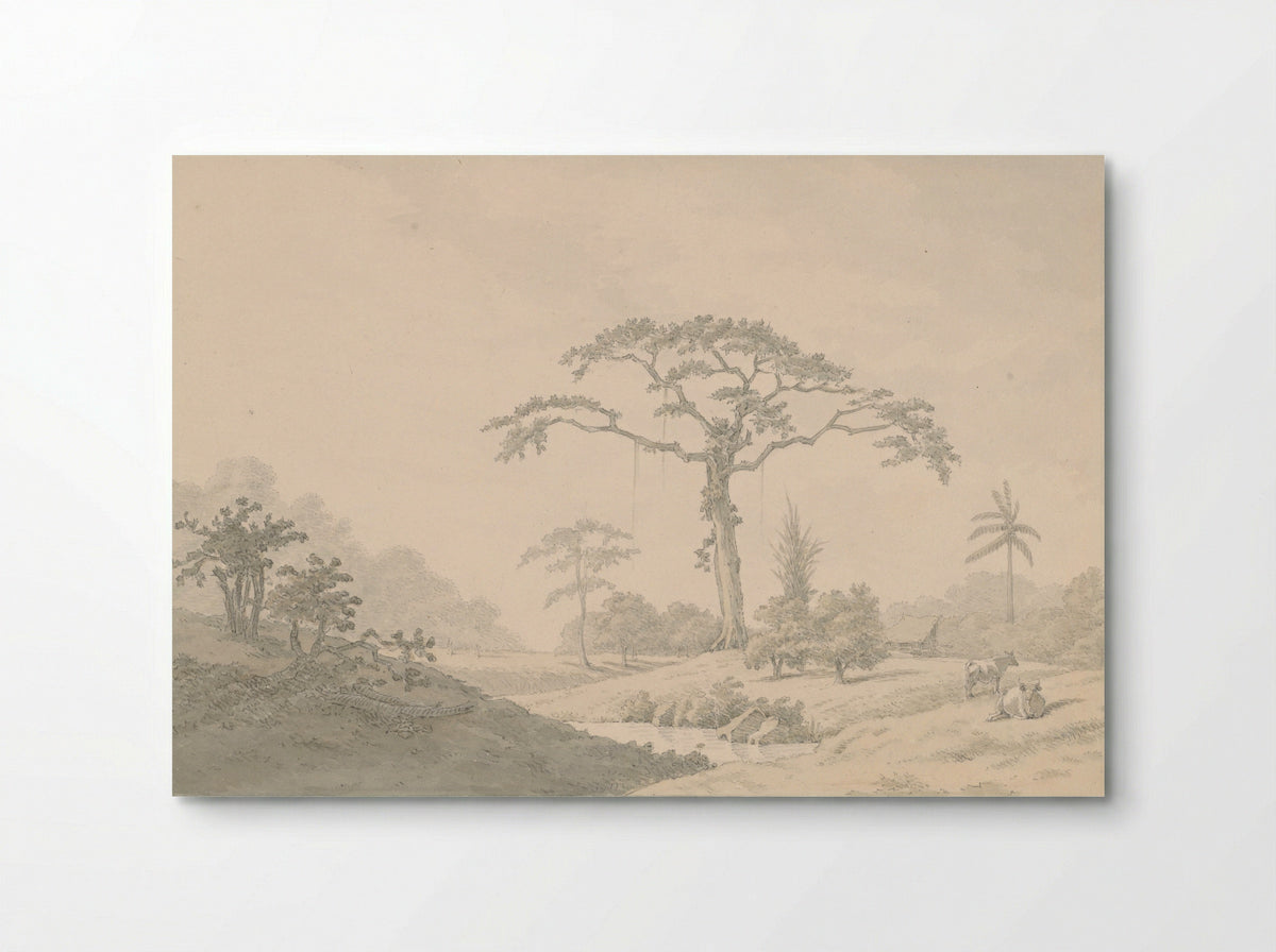 Gezicht bij een hoeve in Suriname - Nicolaas Box - Poster
