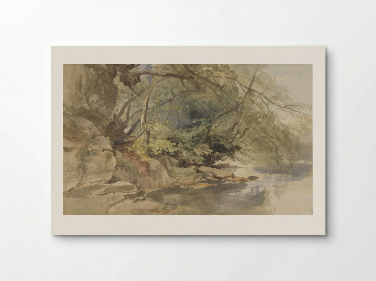 Gezicht in Stapleton Wood, bij Bristol - William James Muller - Poster