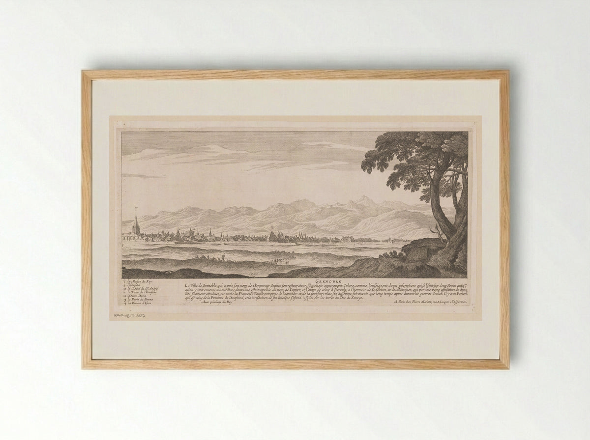 Gezicht op Grenoble - Nicolas Perelle - Framed Print Wood