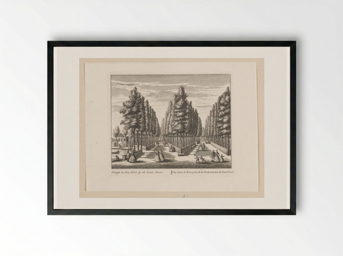 Gezicht op boslanen in de Alkmaarder Hout - Leonard Schenk - Framed Print Black