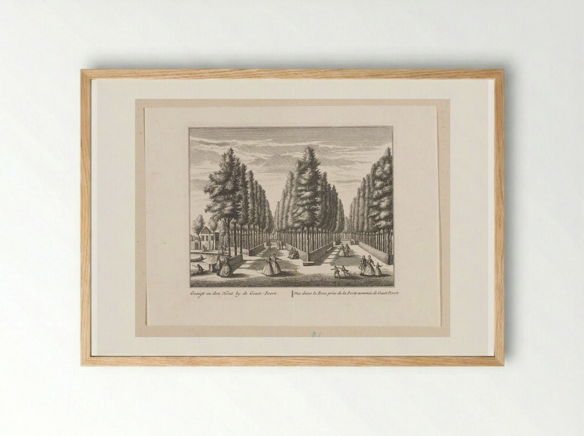Gezicht op boslanen in de Alkmaarder Hout - Leonard Schenk - Framed Print Wood