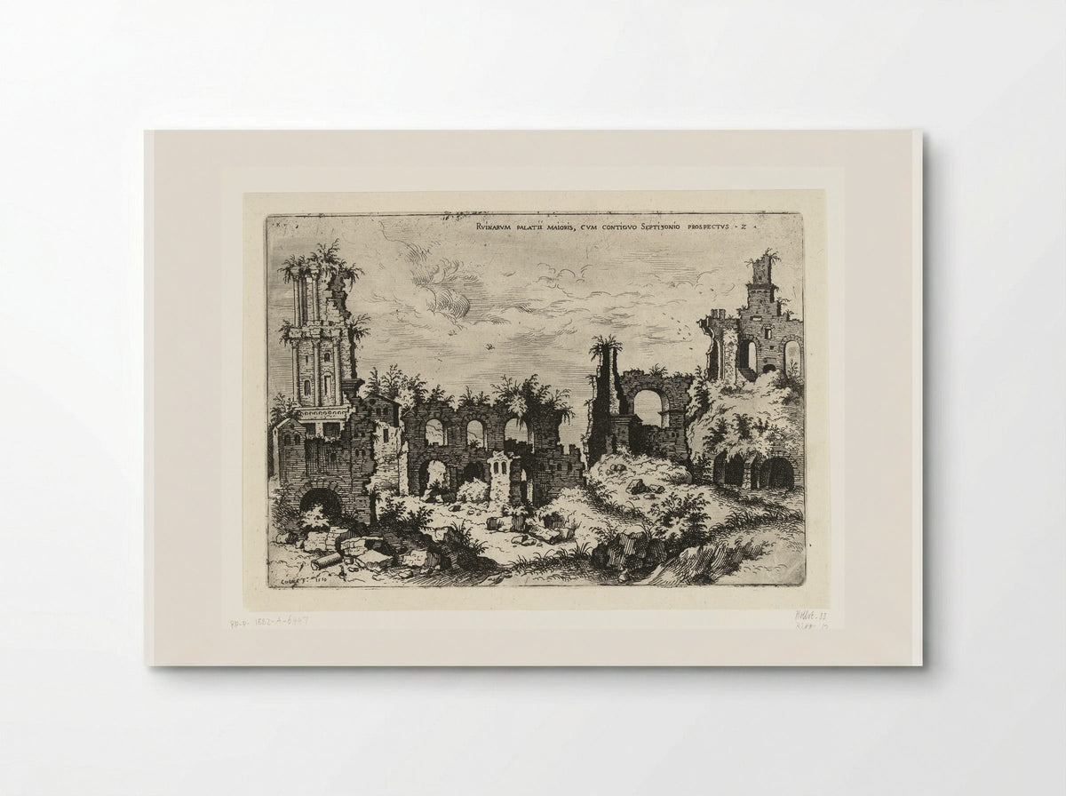Gezicht op de Palatijn met het Septizonium - Hieronymus Cock - Poster