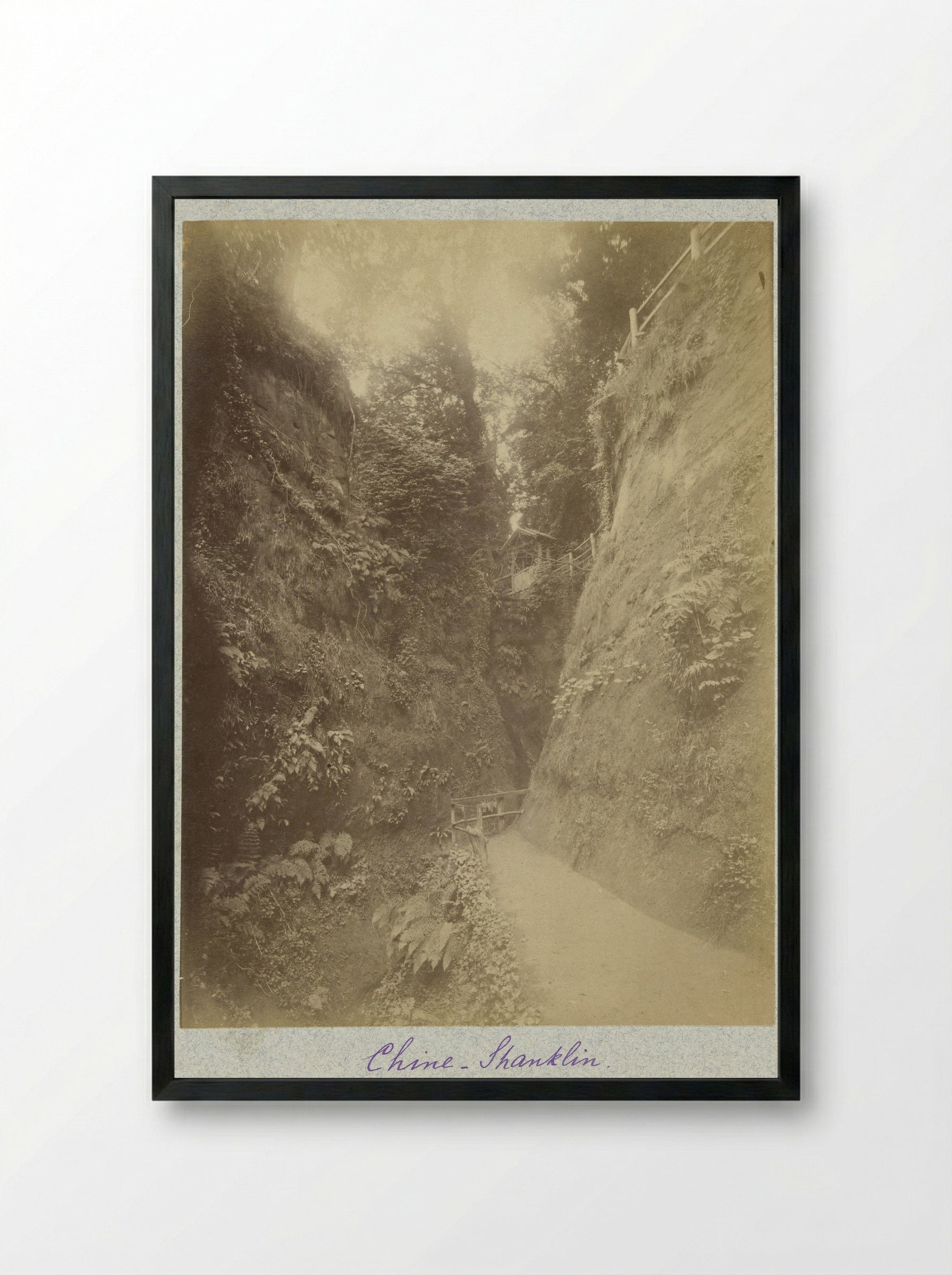 Gezicht op de Shanklin Chine - Henry Pauw van Wieldrecht - Framed Print Black