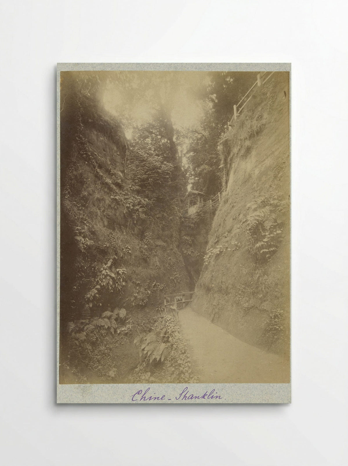 Gezicht op de Shanklin Chine - Henry Pauw van Wieldrecht - Poster