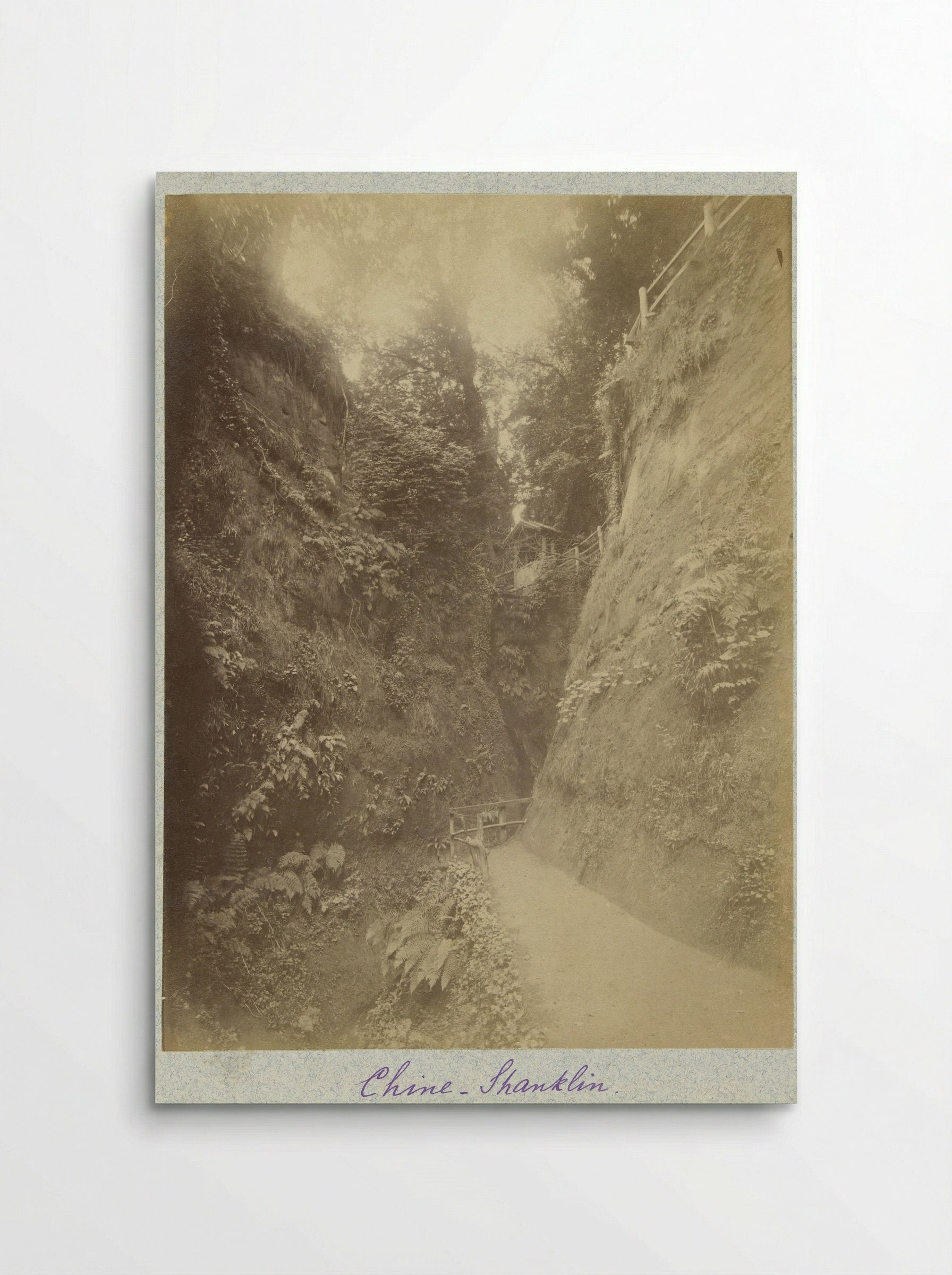 Gezicht op de Shanklin Chine - Henry Pauw van Wieldrecht - Poster