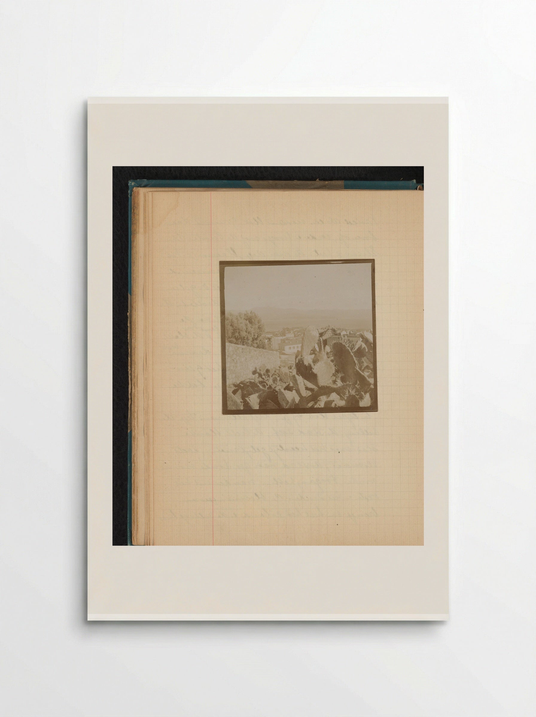 Gezicht op de baai van Ajaccio met cactussen ervoor - Théodore van Lelyveld - Poster