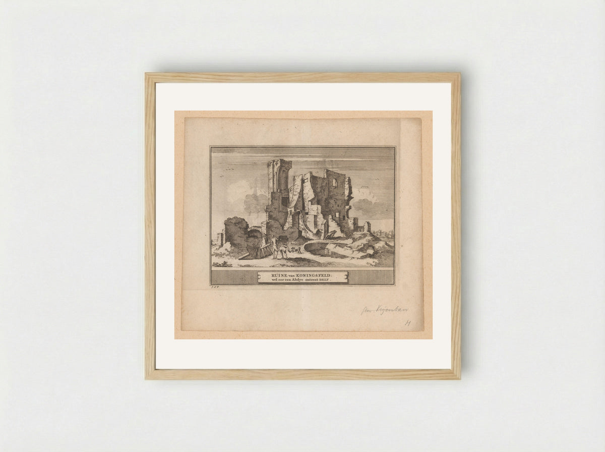Gezicht op de ruïne van de Abdij Koningsfeld bij Delft - Pieter de Coup - Framed Print Wood