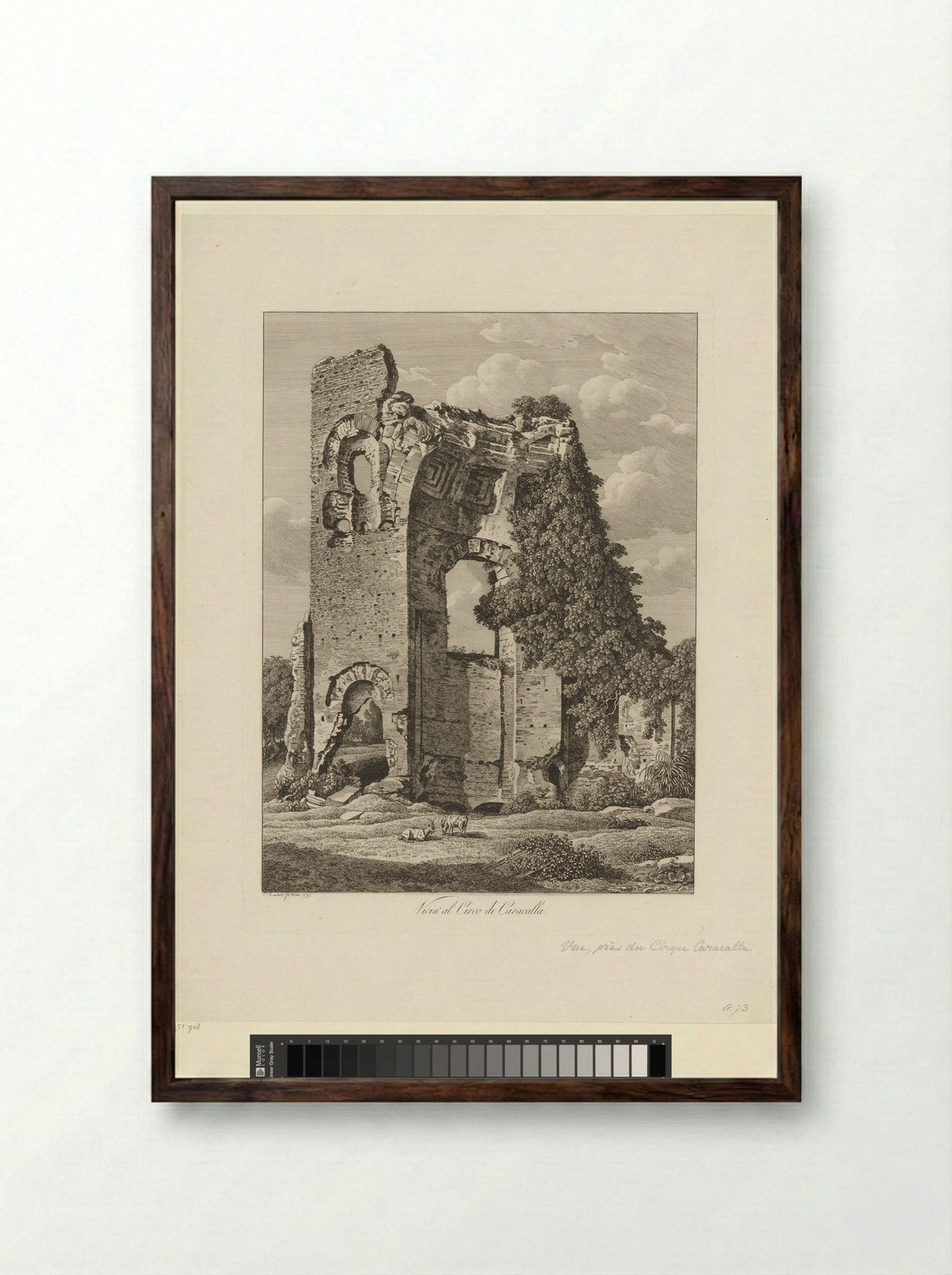 Gezicht op de ruïne van het Circus van Maxentius - Johann Friedrich Frauenholz - Framed Print Dark Wood