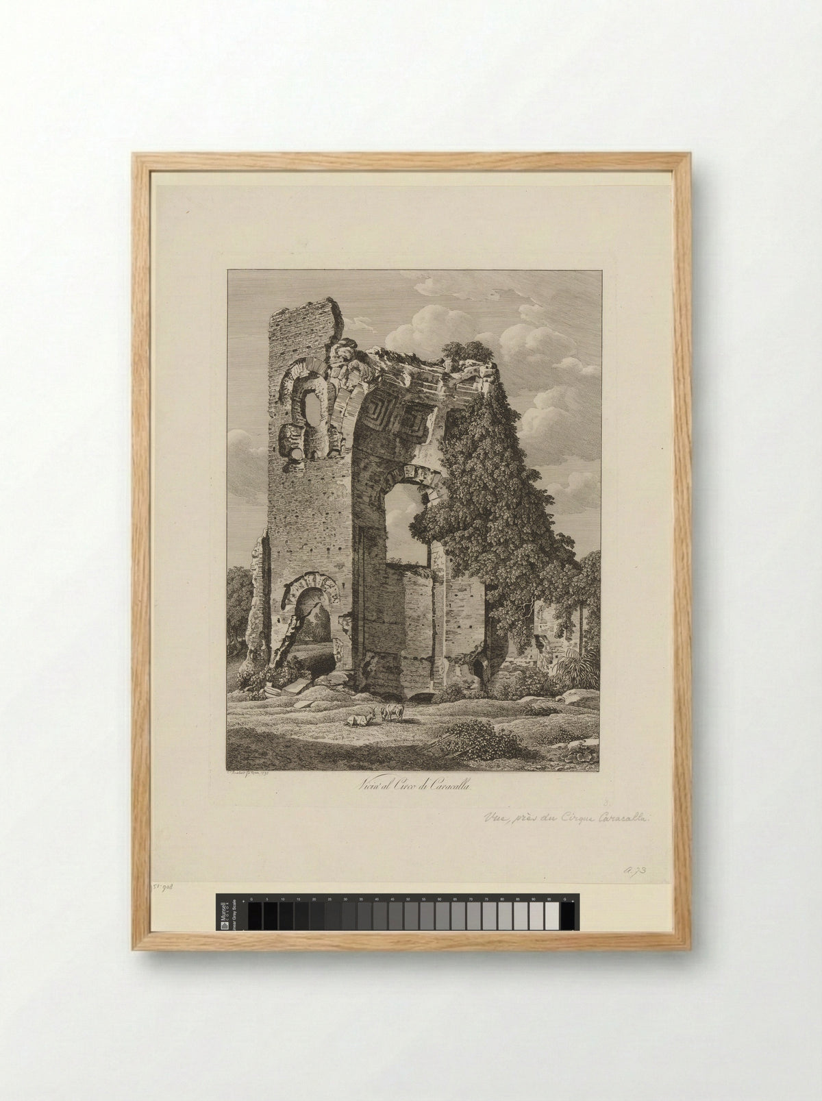 Gezicht op de ruïne van het Circus van Maxentius - Johann Friedrich Frauenholz - Framed Print Wood