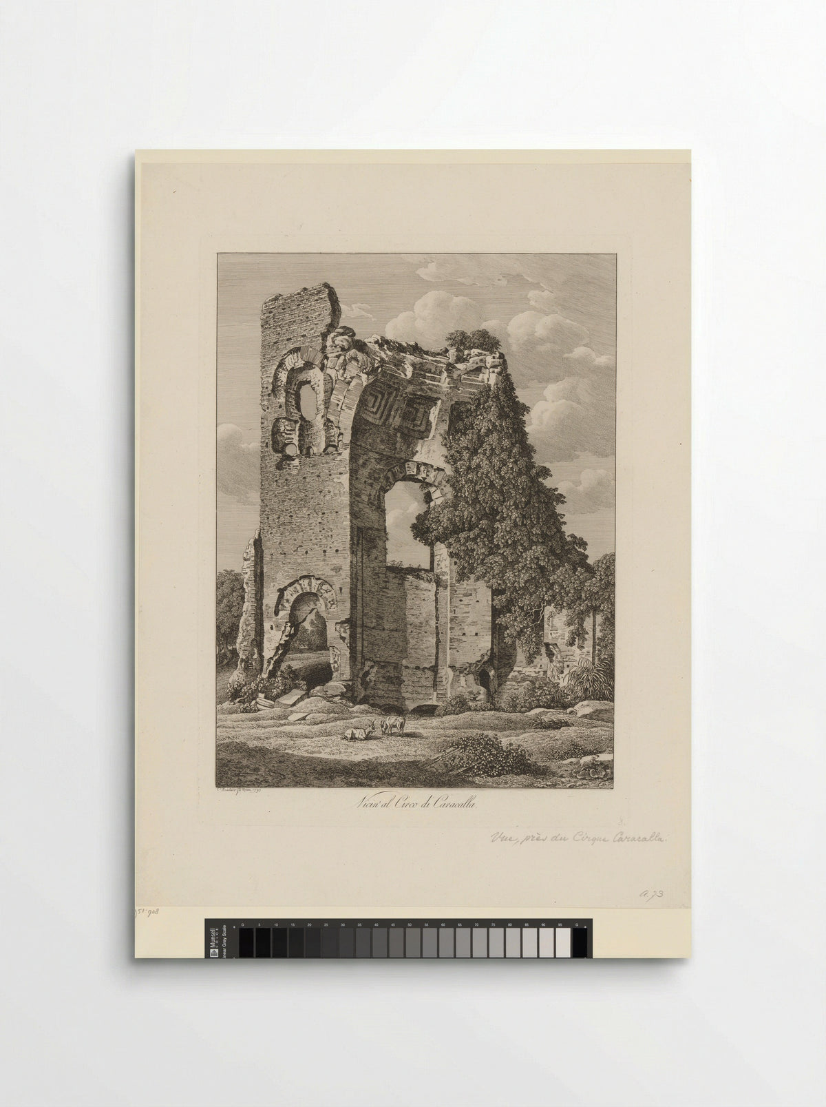 Gezicht op de ruïne van het Circus van Maxentius - Johann Friedrich Frauenholz - Poster