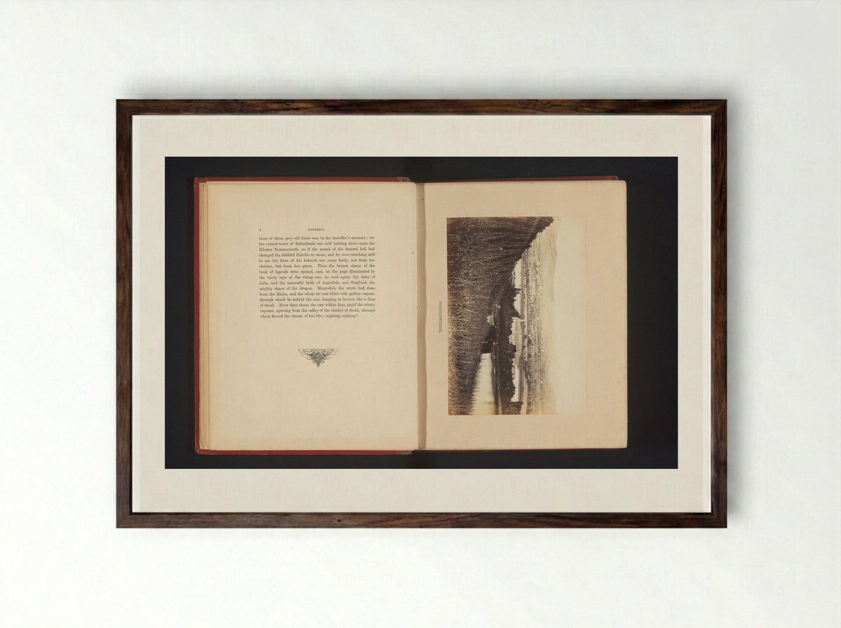 Gezicht op het eiland Nonnenwerth - Francis Frith - Framed Print Dark Wood
