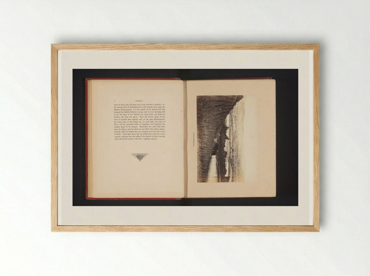 Gezicht op het eiland Nonnenwerth - Francis Frith - Framed Print Wood