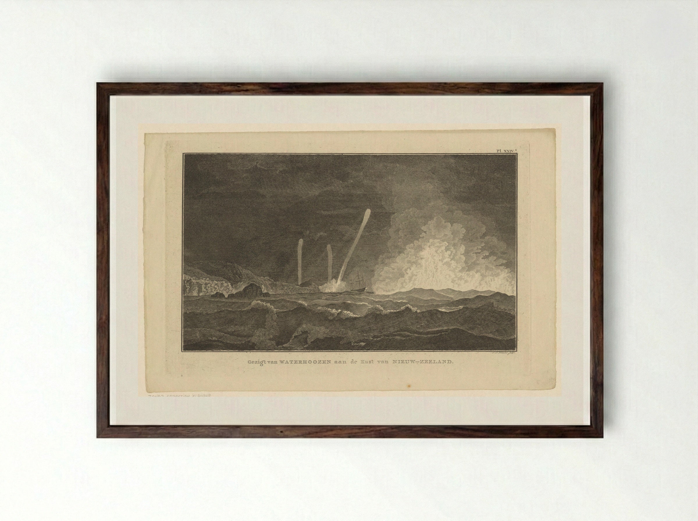 Gezicht op waterhozen aan de kust van Nieuw-Zeeland - Fine Art Print - Framed Print Dark Wood