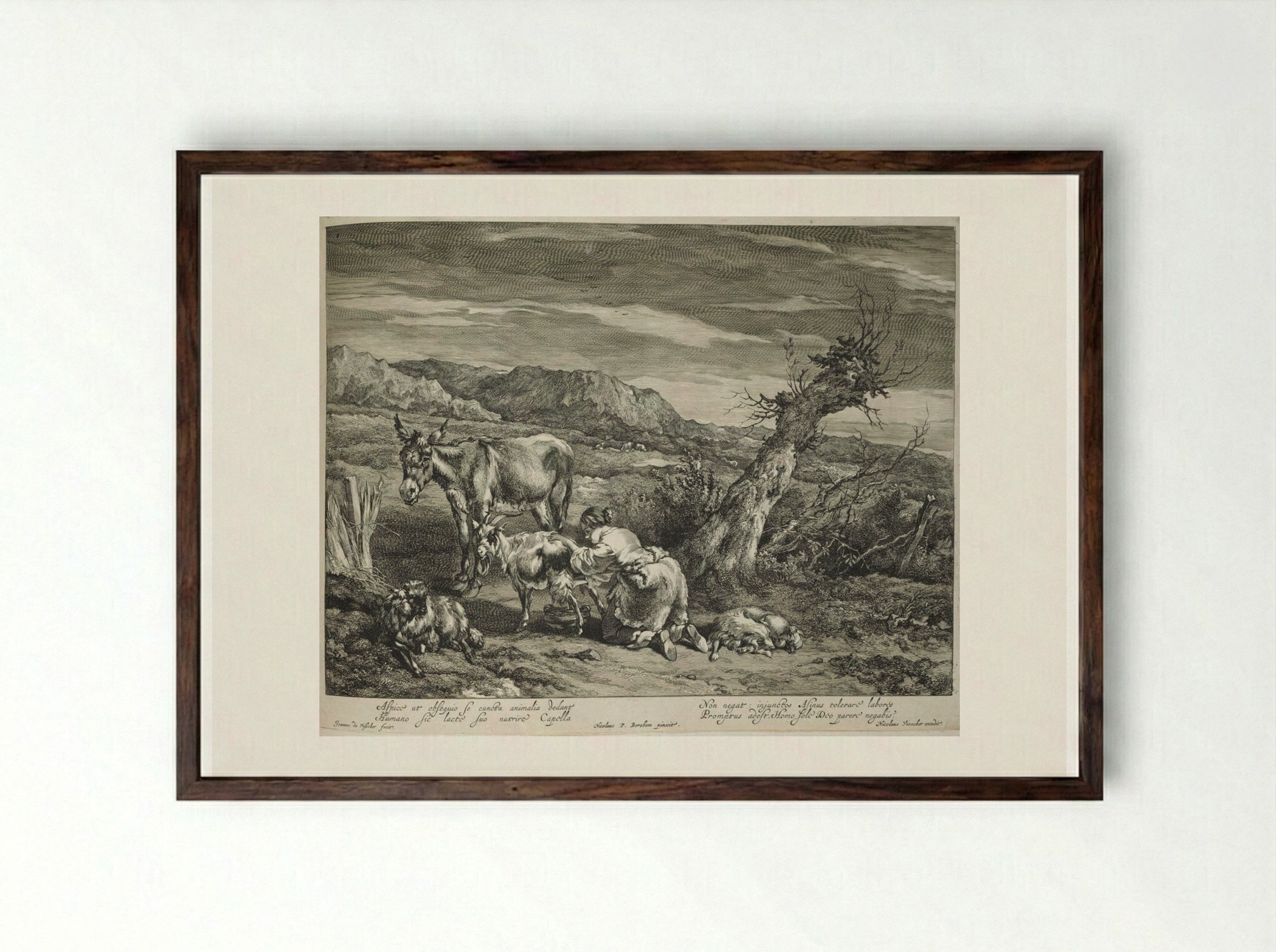 Girl Milking Goats - Johannes Visscher - Framed Print Dark Wood