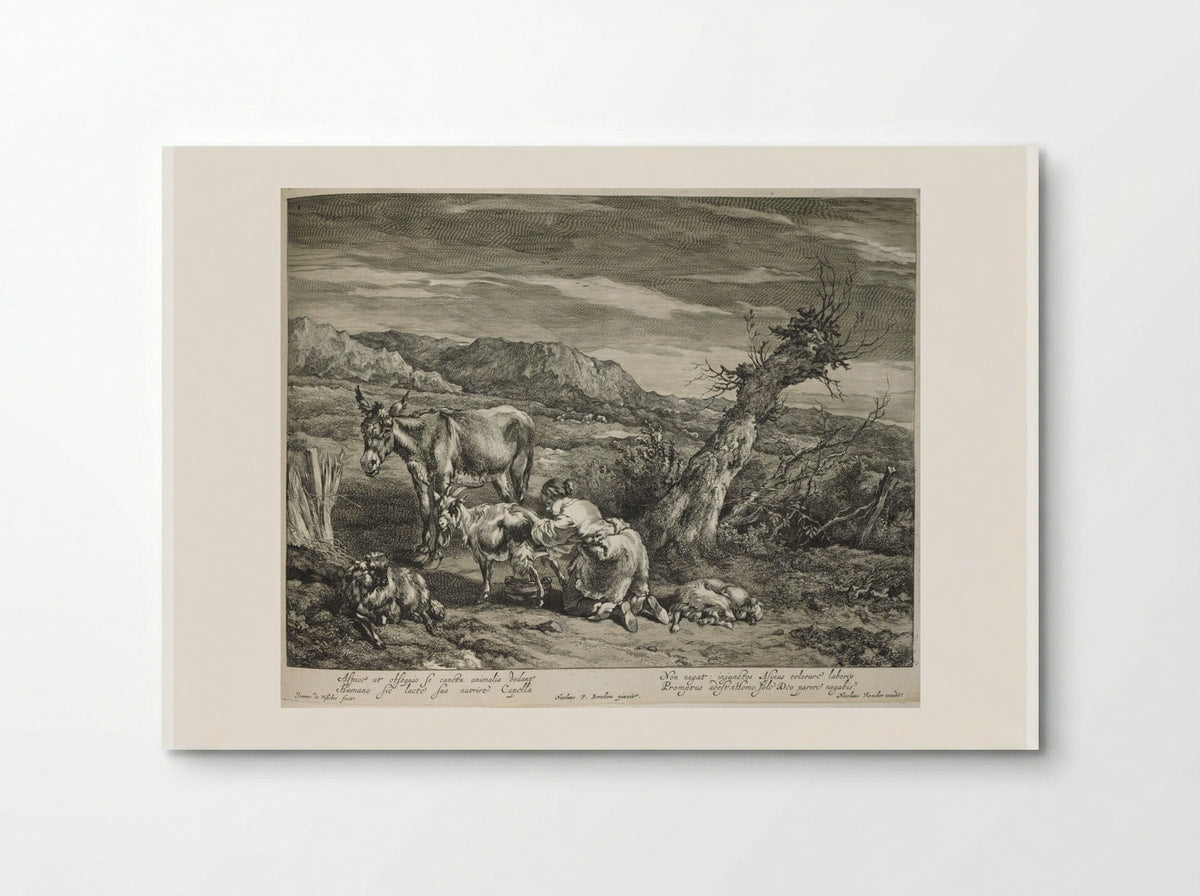 Girl Milking Goats - Johannes Visscher - Poster