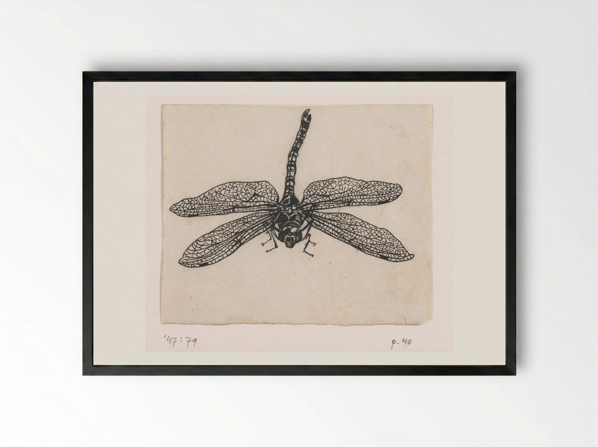 Glazenmaker (Dragonfly) - Willem Wenckebach - Framed Print Black