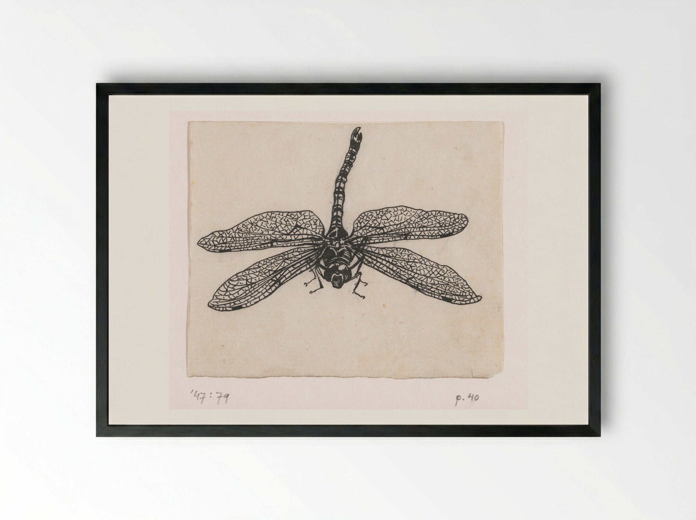 Glazenmaker (Dragonfly) - Willem Wenckebach - Framed Print Black