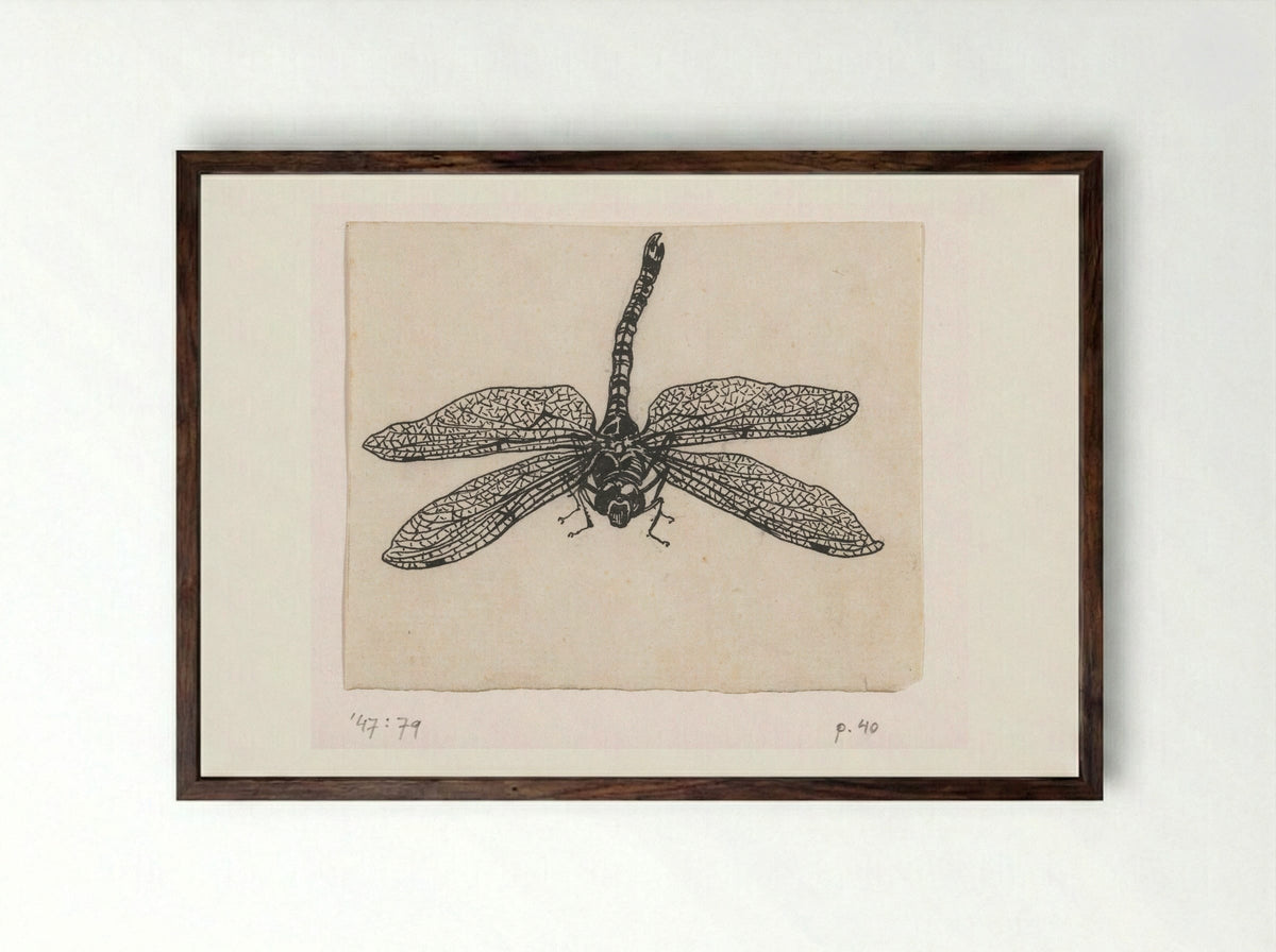 Glazenmaker (Dragonfly) - Willem Wenckebach - Framed Print Dark Wood