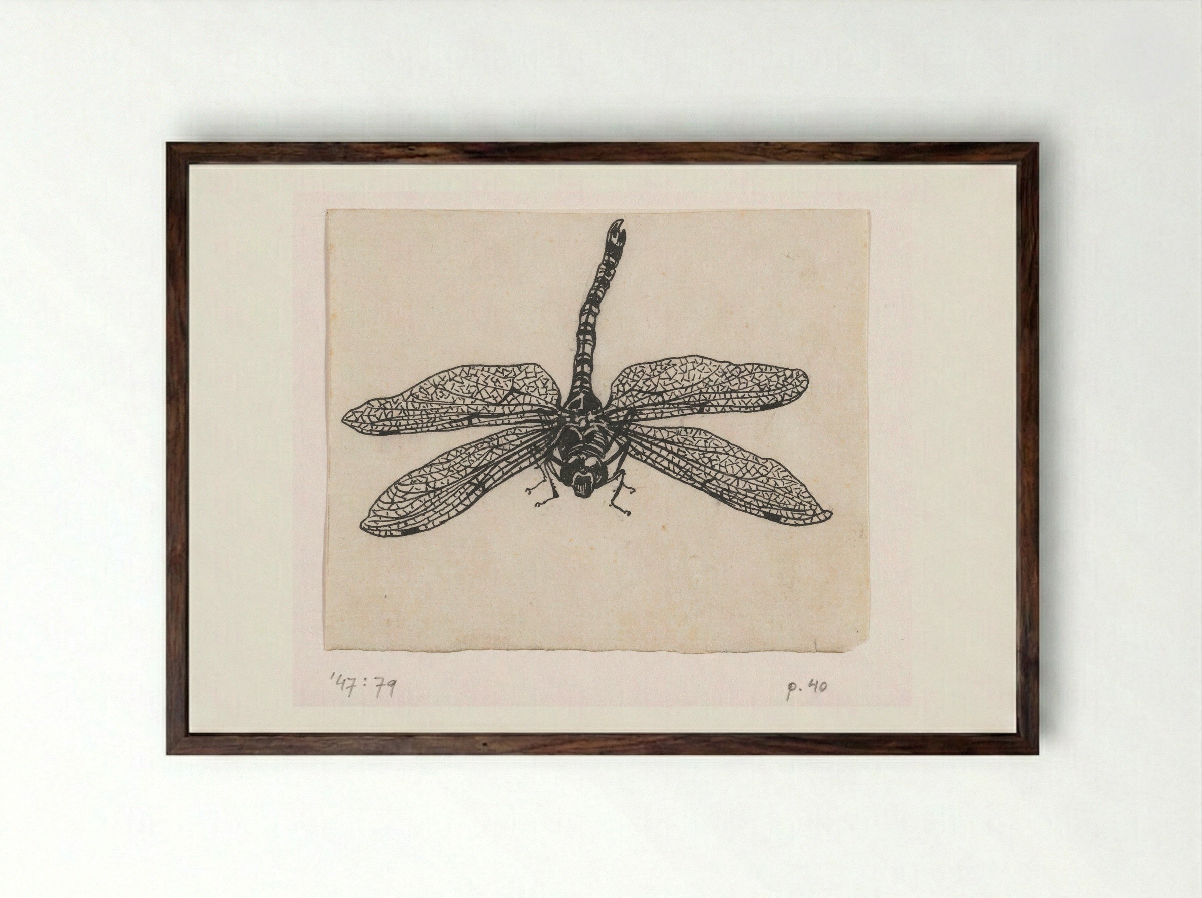 Glazenmaker (Dragonfly) - Willem Wenckebach - Framed Print Dark Wood