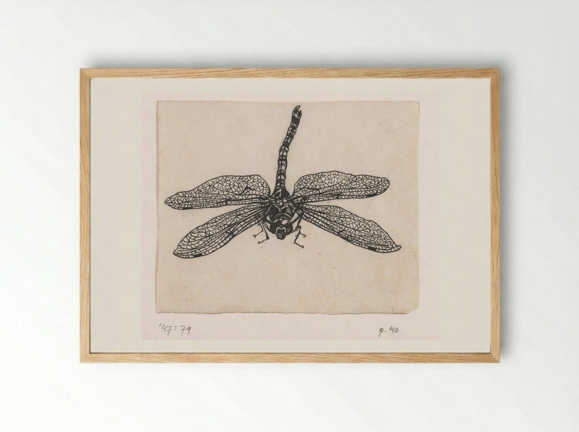 Glazenmaker (Dragonfly) - Willem Wenckebach - Framed Print Wood