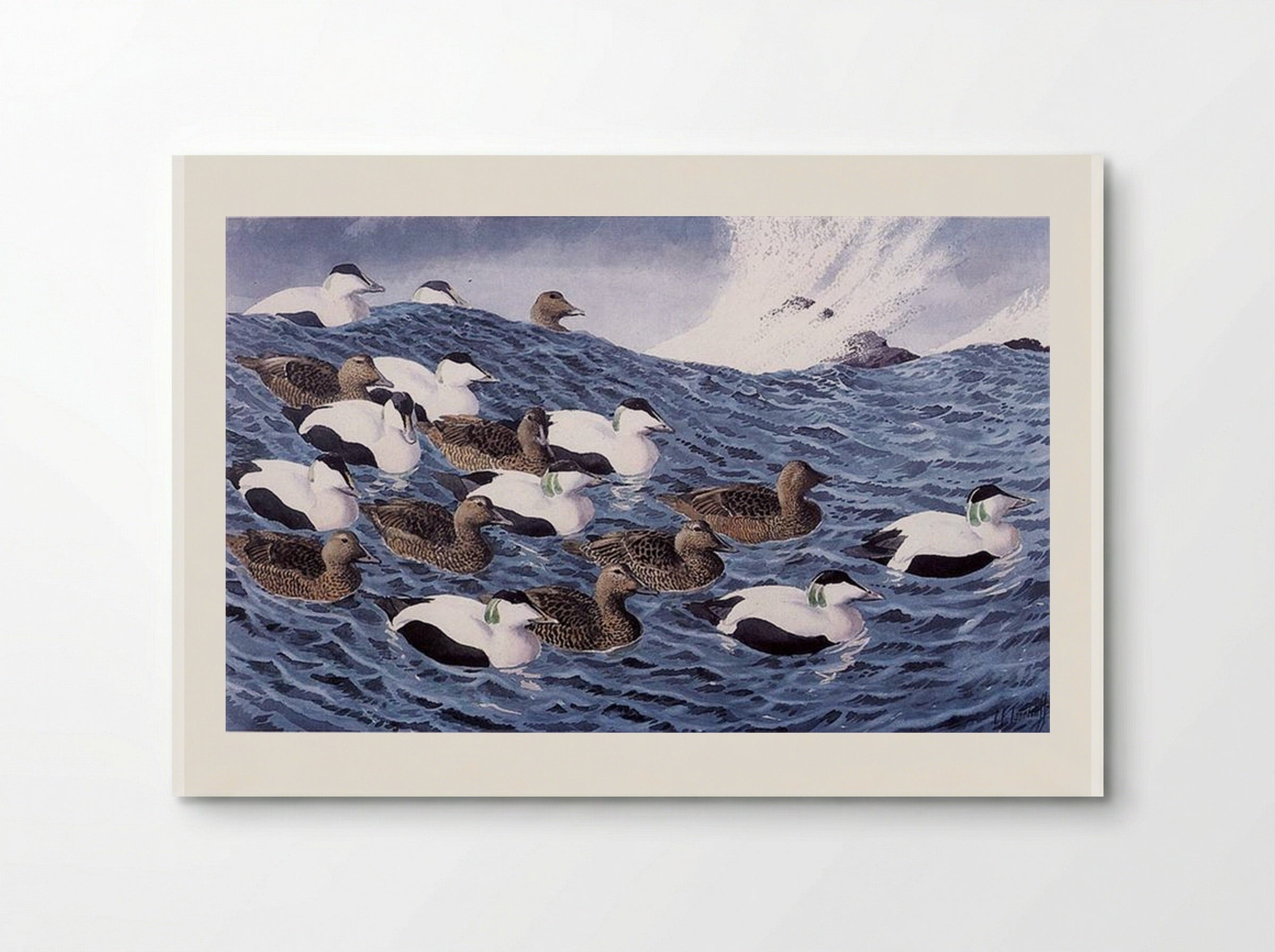 Gliders - Charles Tunnicliffe - Poster