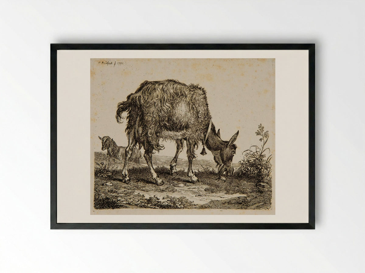 Goat Grazing - Johann Christian Reinhart - Framed Print Black