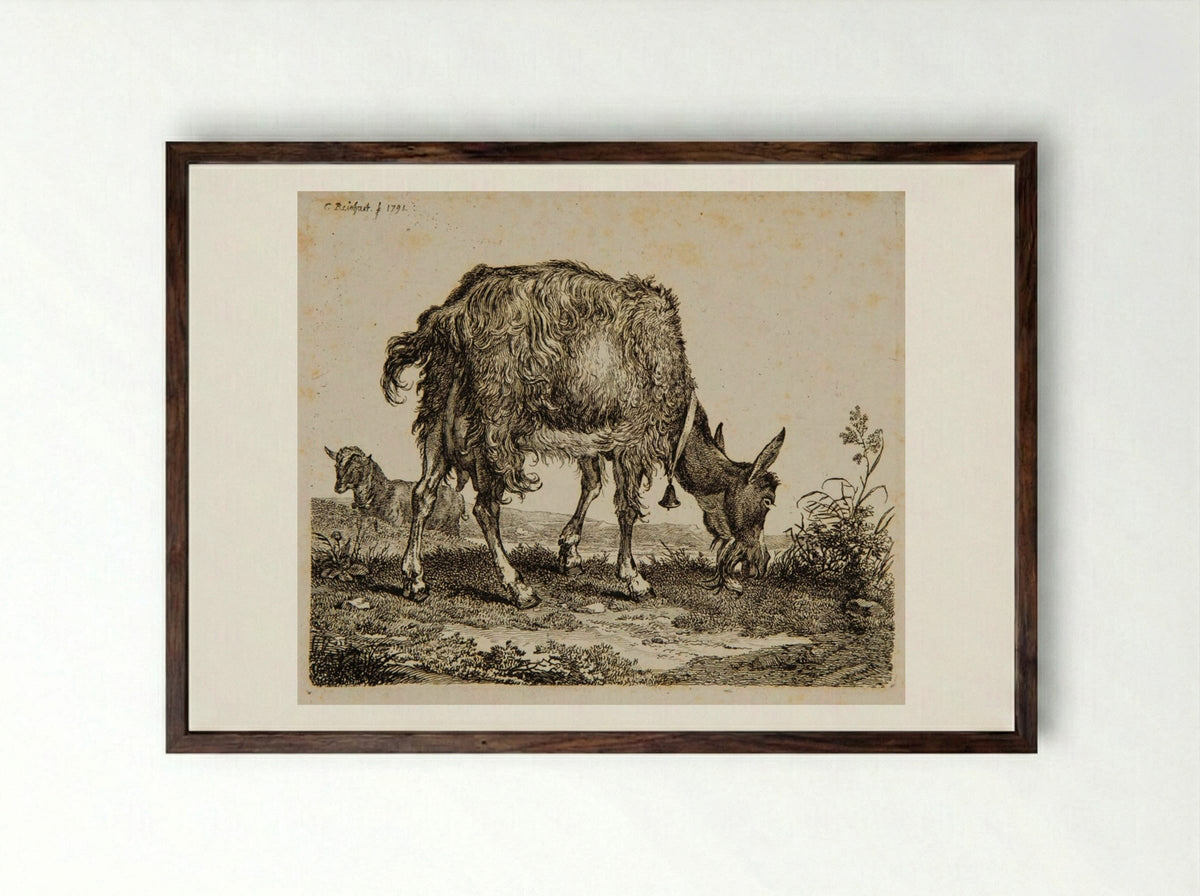 Goat Grazing - Johann Christian Reinhart - Framed Print Dark Wood